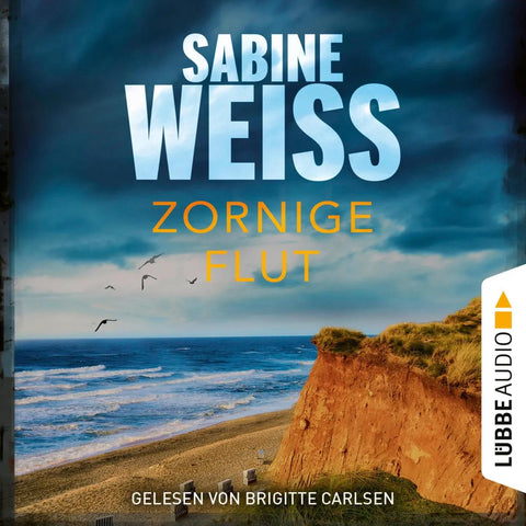 Zornige Flut - Sylt-Krimi - Liv Lammers, Teil 7