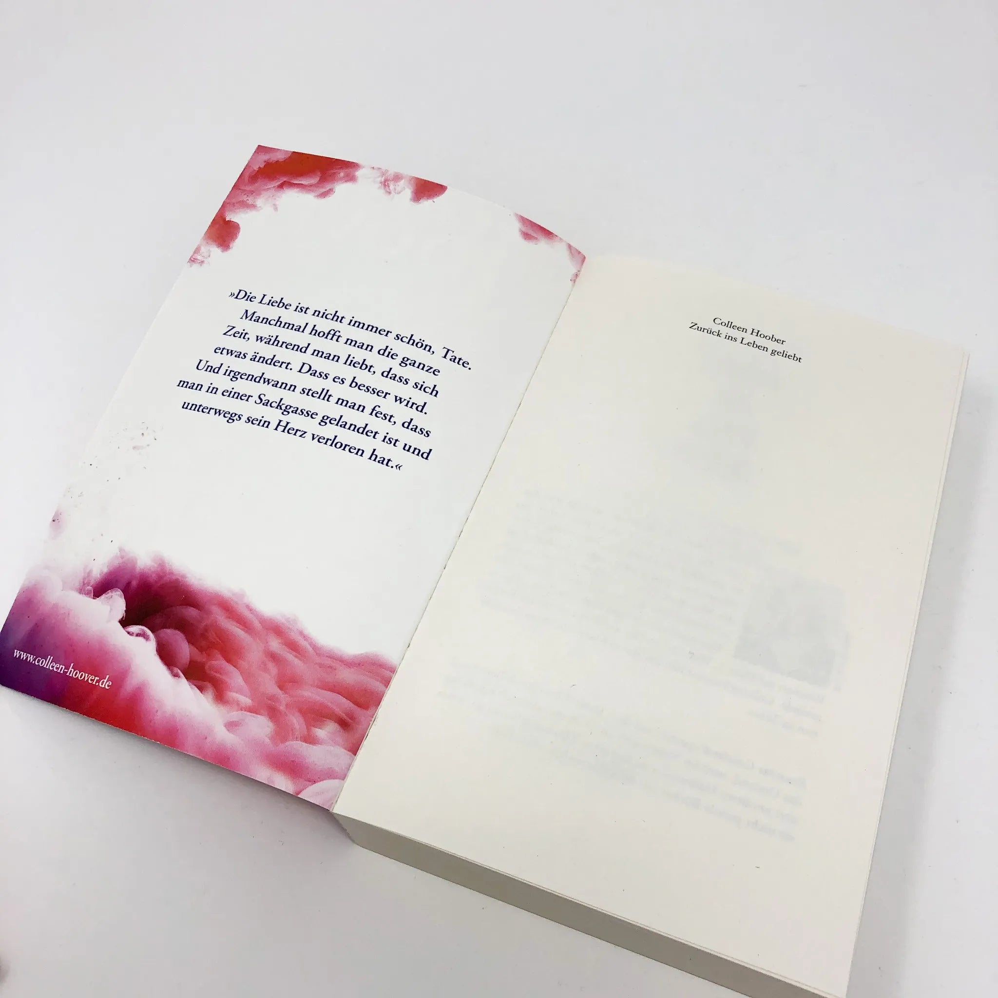 Detailansicht: Zurück ins Leben geliebt (Taschenbuch)