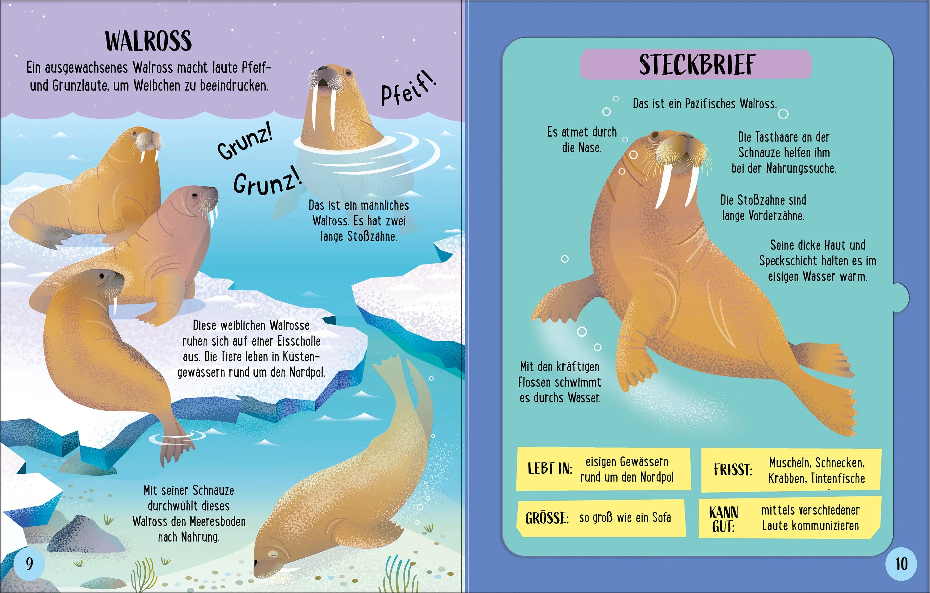 Produktansicht: Zusammenstecken und Entdecken: Meerestiere (Gebundene Ausgabe)
