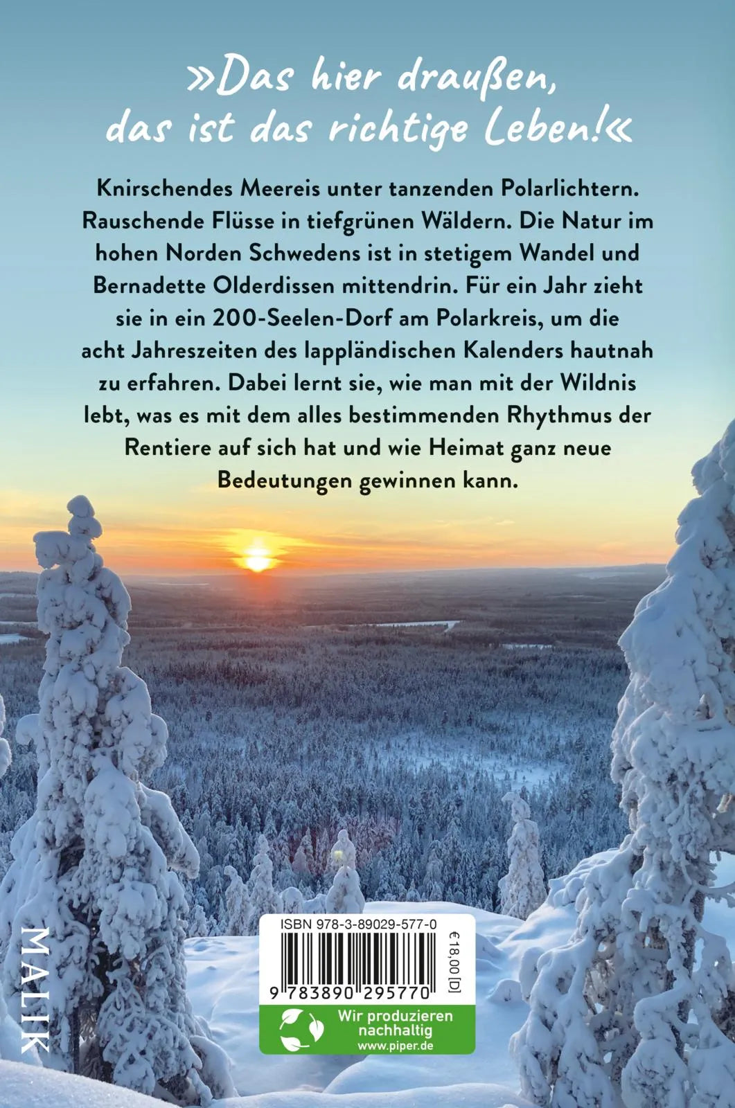 Buchrückseite von 'Zwischen ewigem Sommer und tiefster Nacht' mit Klappentext - Paperback