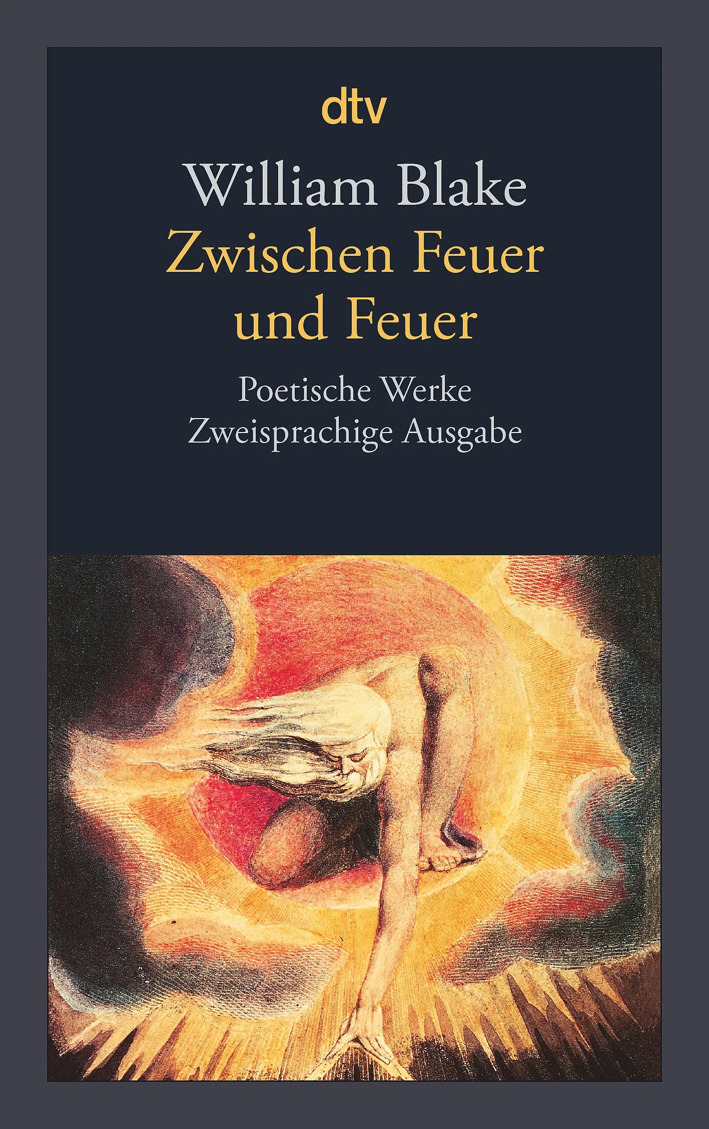 Buchcover von 'Zwischen Feuer und Feuer' - Taschenbuch von William Blake