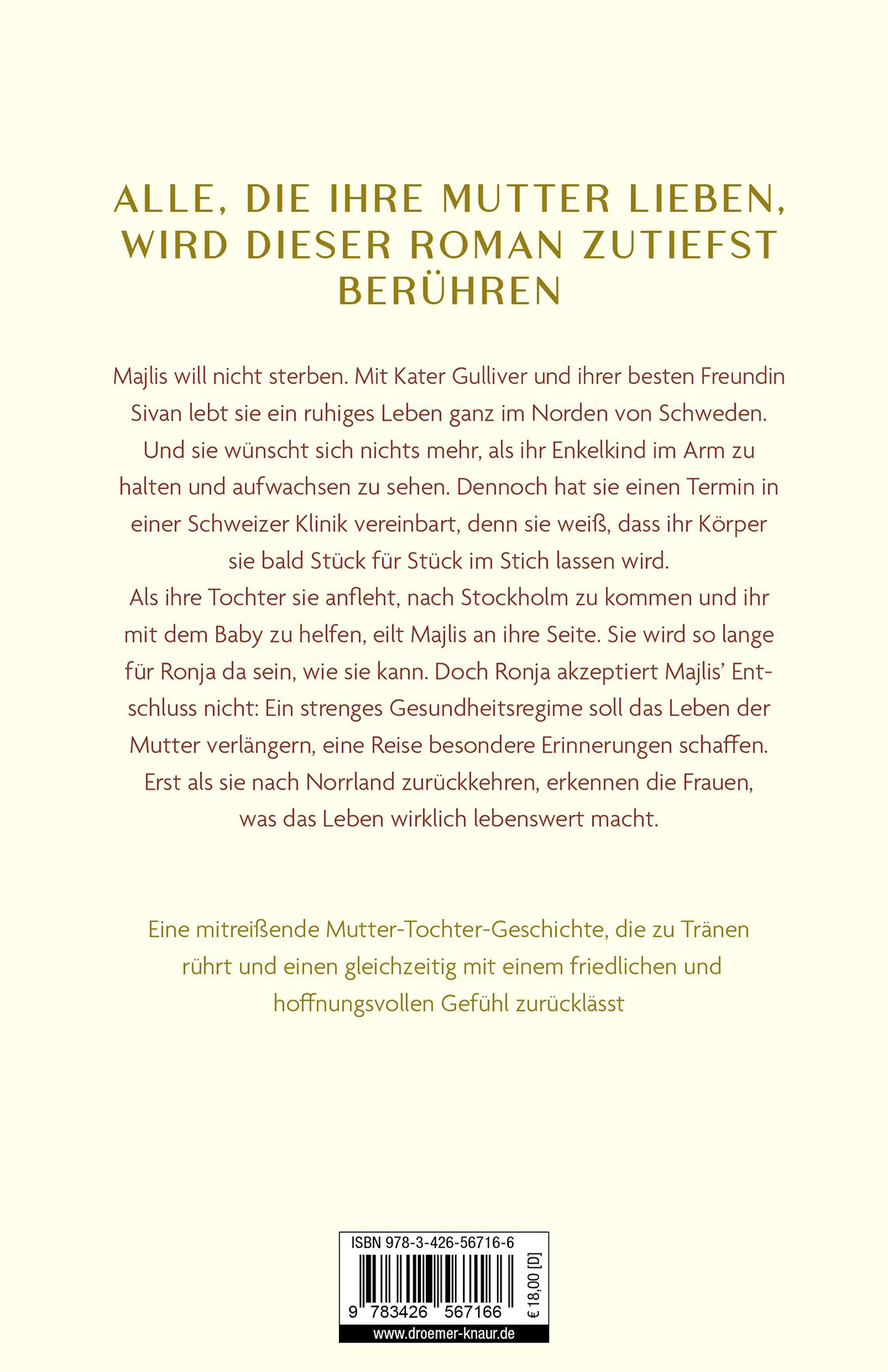 Rückseite: Zwischen Himmel und hier (Paperback)
