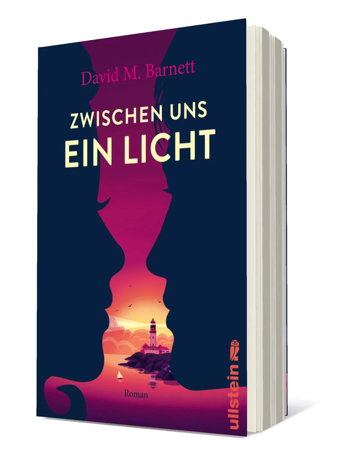 Buchcover von 'Zwischen uns ein Licht' - Taschenbuch von David M. Barnett