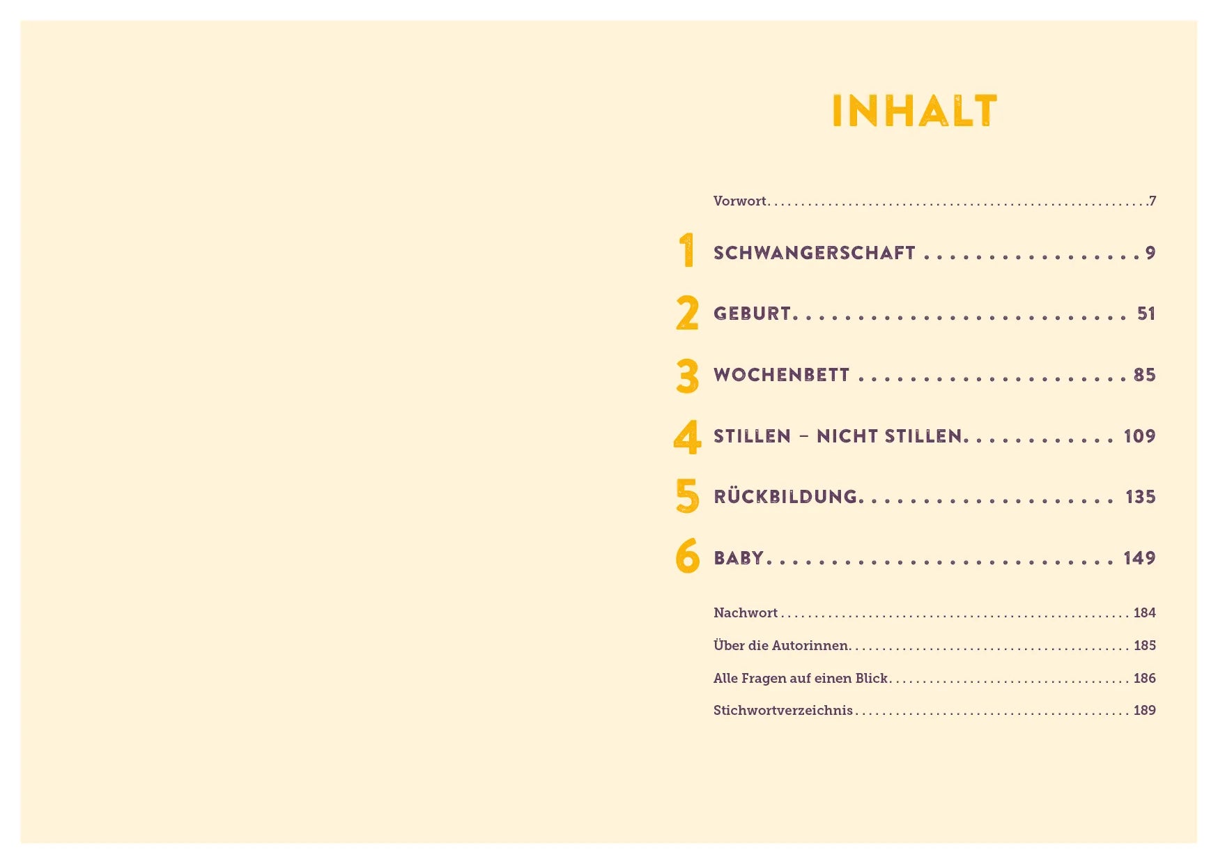 Innenansicht von '100 Fragen an deine Hebamme' - Taschenbuch