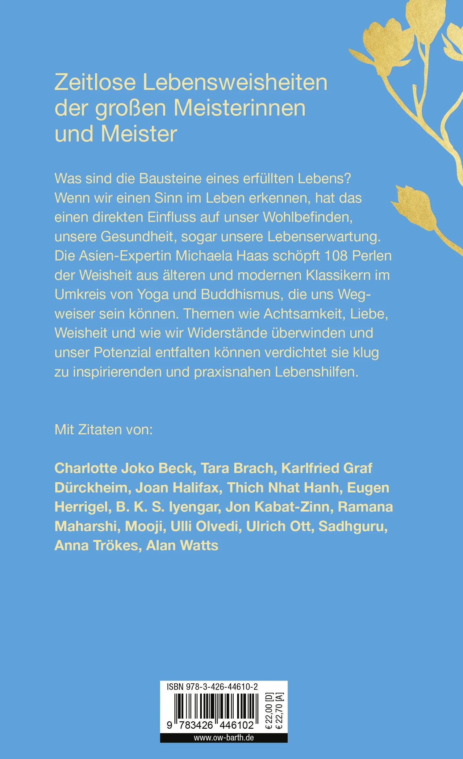 Buchrückseite von '108 Arten, dem Leben einen Sinn zu geben' mit Klappentext - Gebundene Ausgabe
