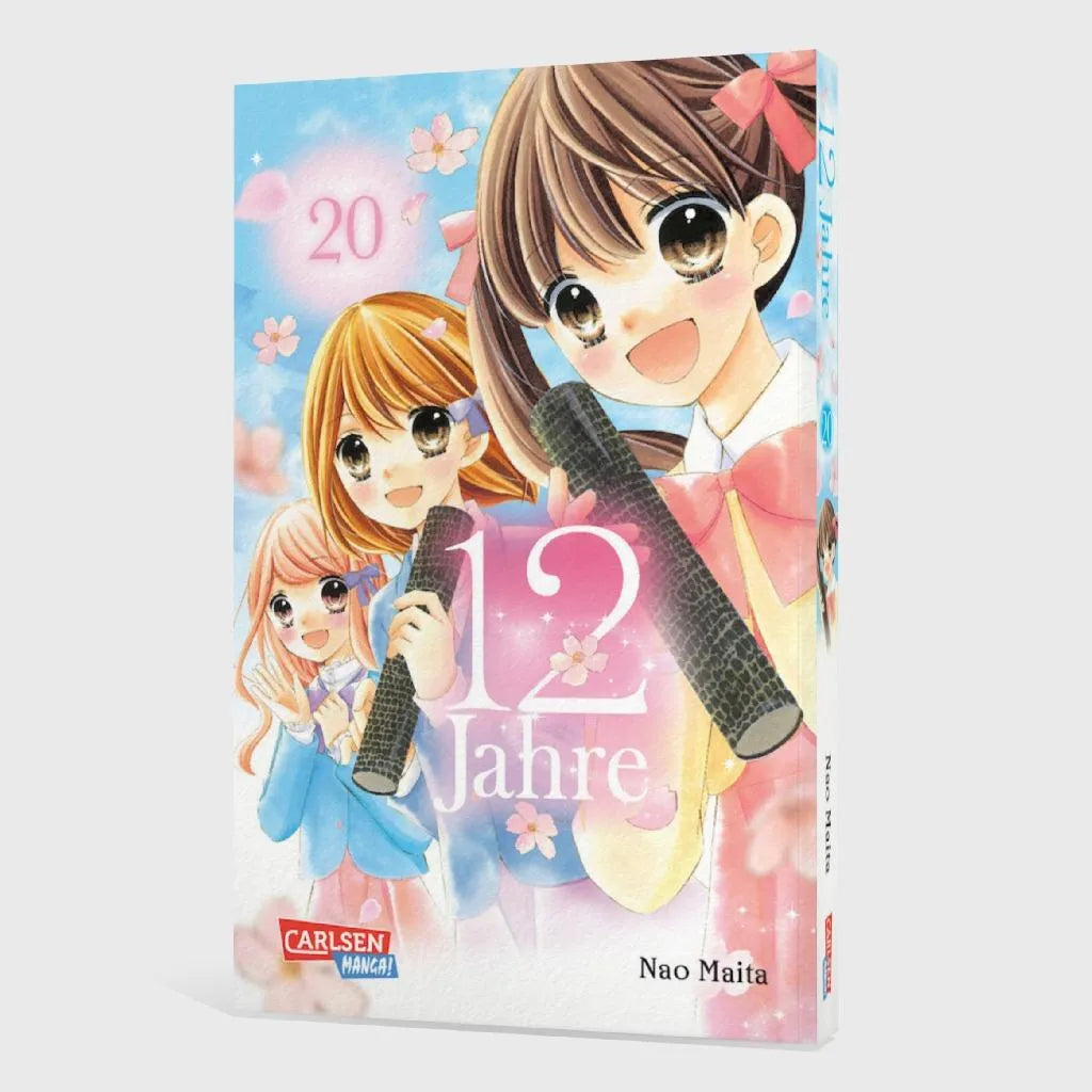 Produktansicht: 12 Jahre 20 (Taschenbuch)