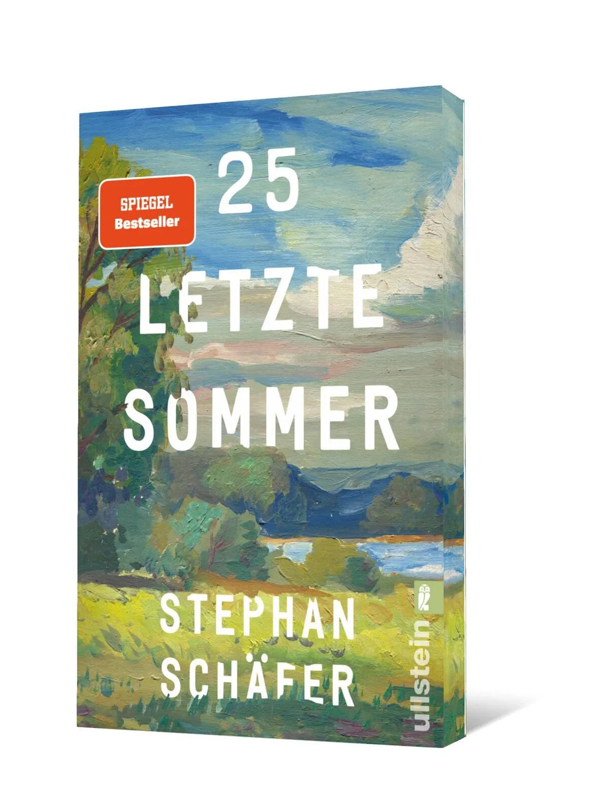 Cover: 25 letzte Sommer (Taschenbuch) von Stephan Schäfer