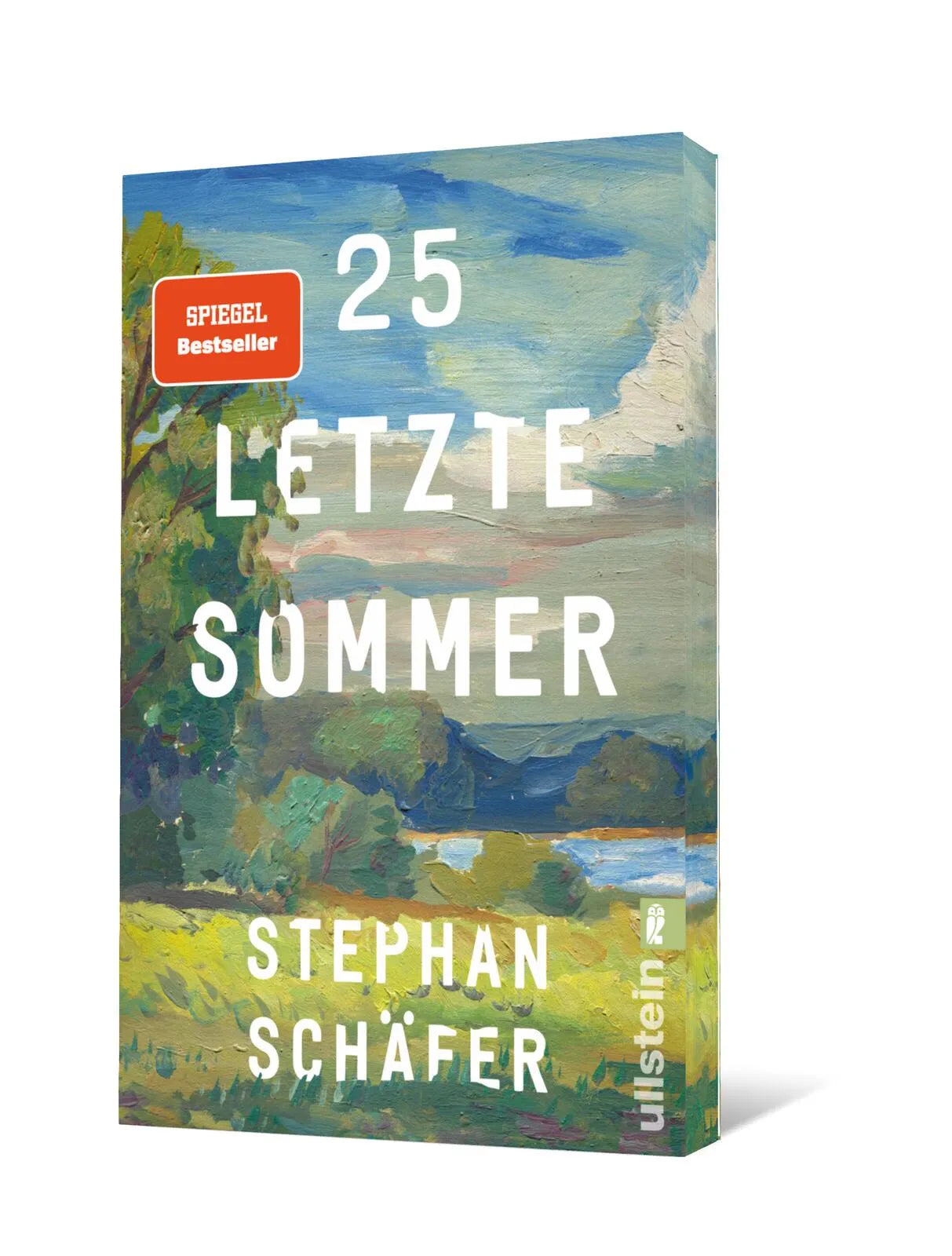 Produktansicht: 25 letzte Sommer (Taschenbuch)