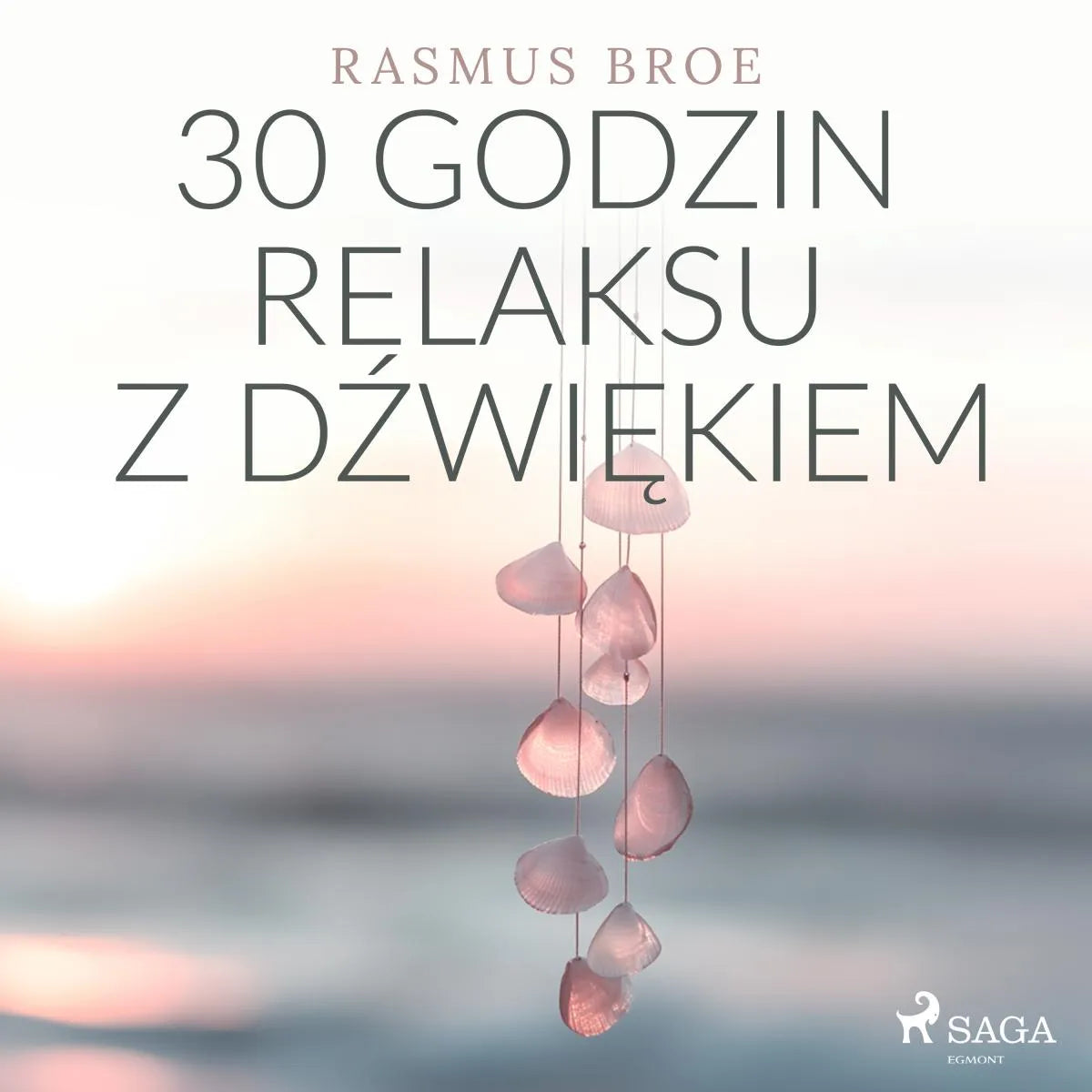 Cover: 30 godzin relaksu z dźwiękiem (Hörbuch Download) von Rasmus Broe