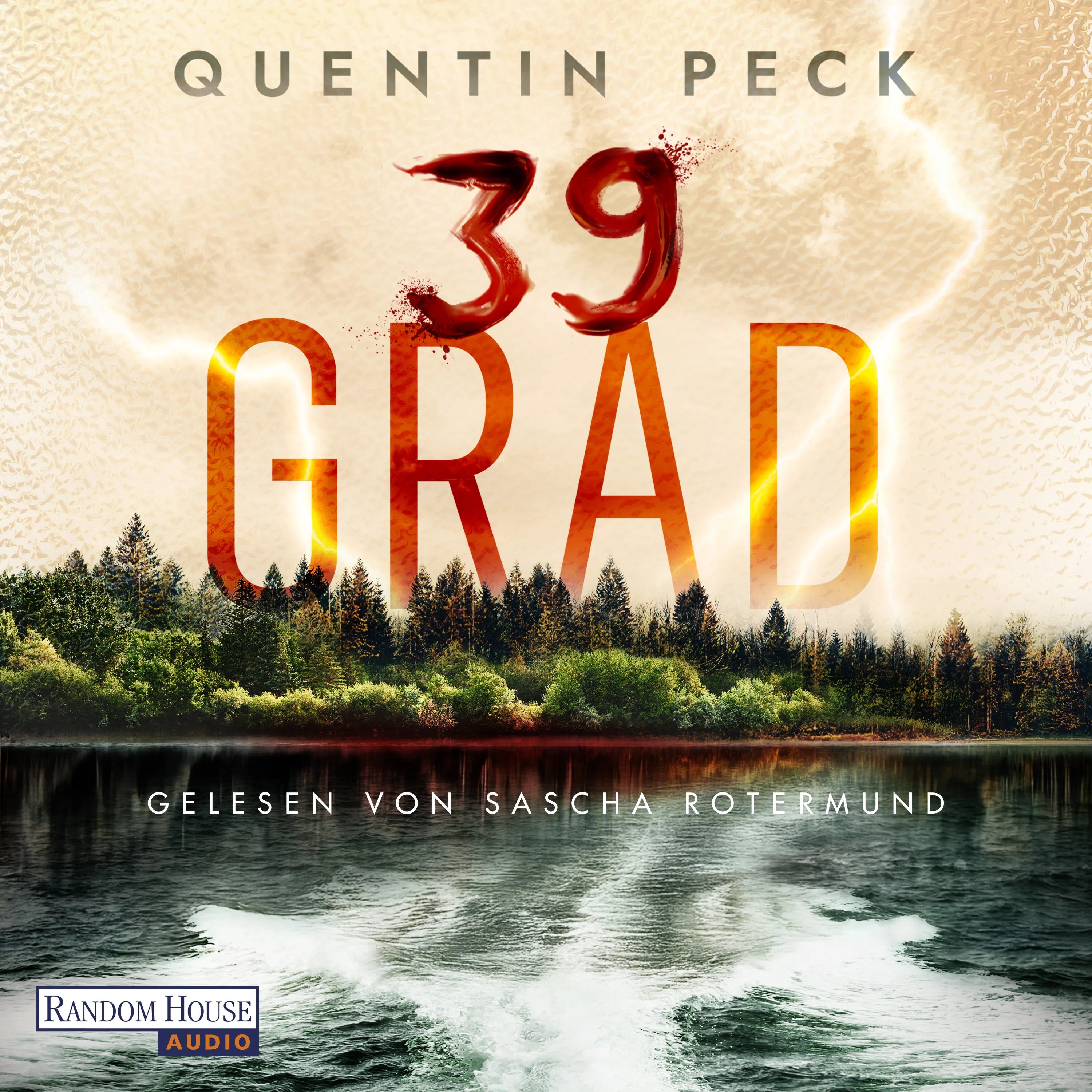 Cover: 39 Grad (Hörbuch Download) von Quentin Peck