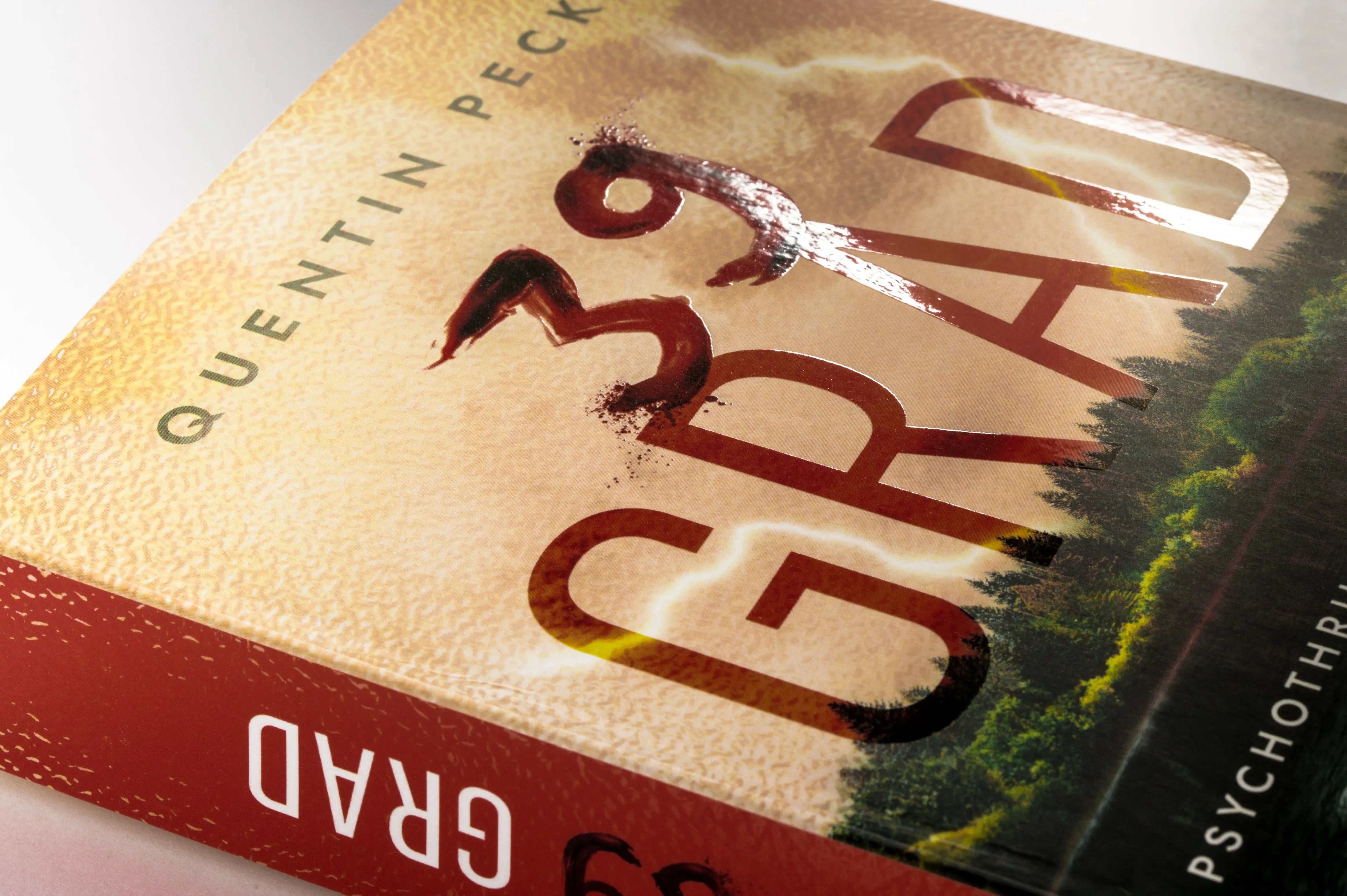 Detailansicht: 39 Grad (Paperback)