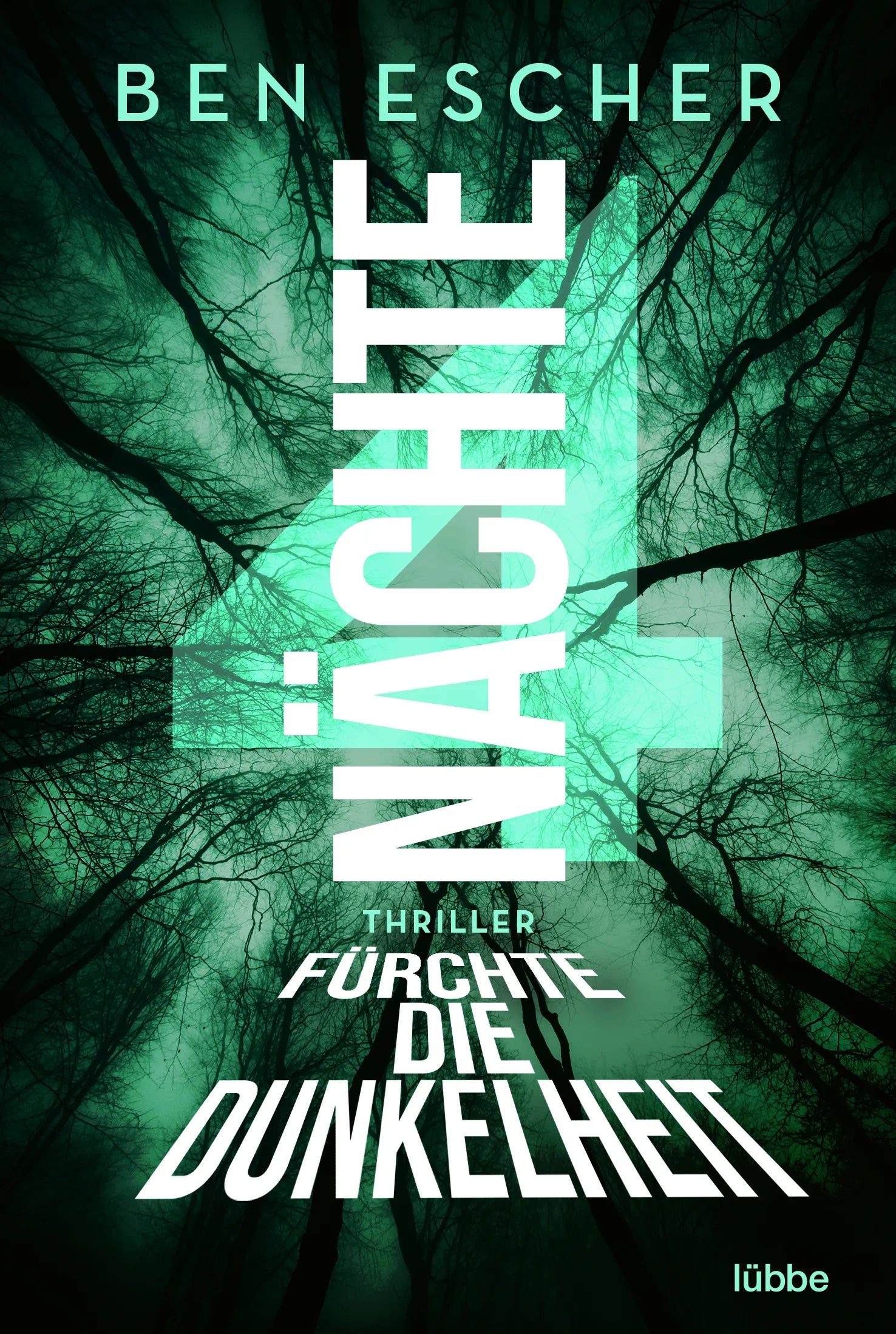 Buchcover von '4 Nächte - Fürchte die Dunkelheit' - Taschenbuch von Ben Escher