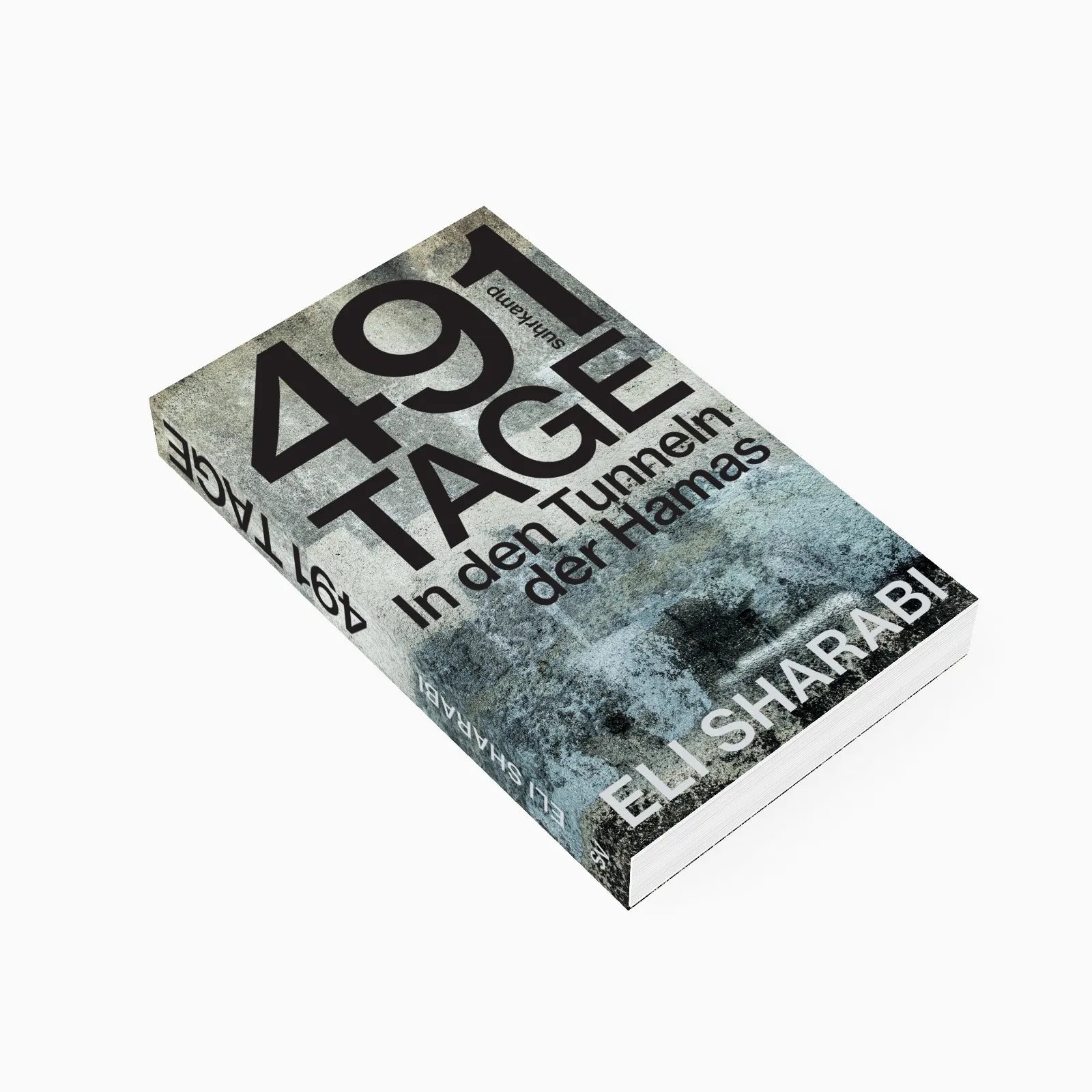 Detailansicht: 491 Tage (Taschenbuch)