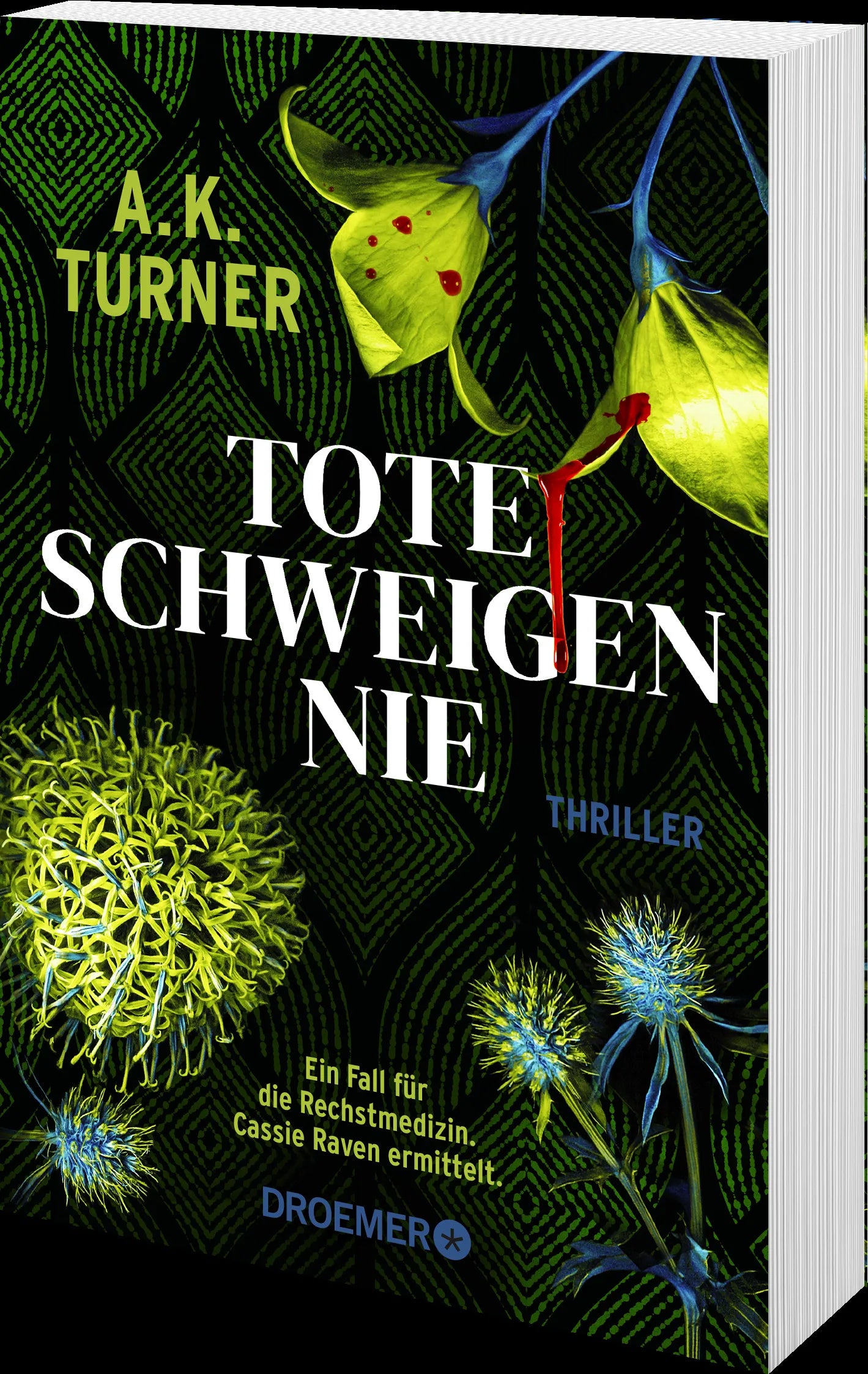 Produktansicht: Tote schweigen nie (Taschenbuch)