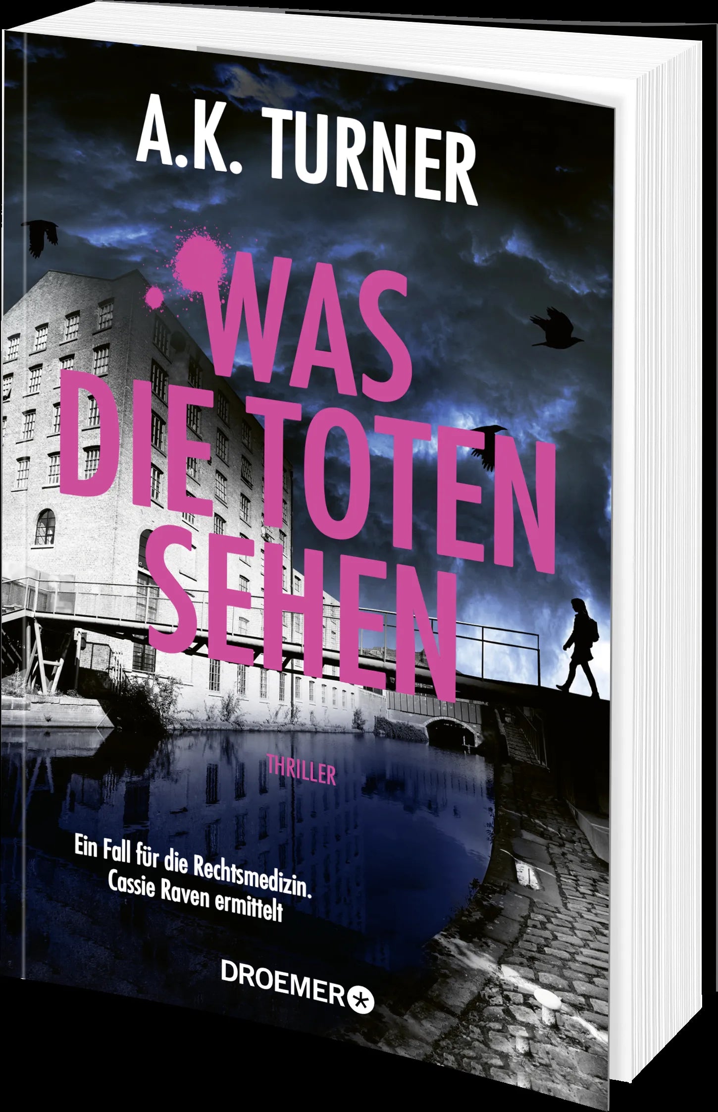 Produktansicht: Was die Toten sehen (Paperback)