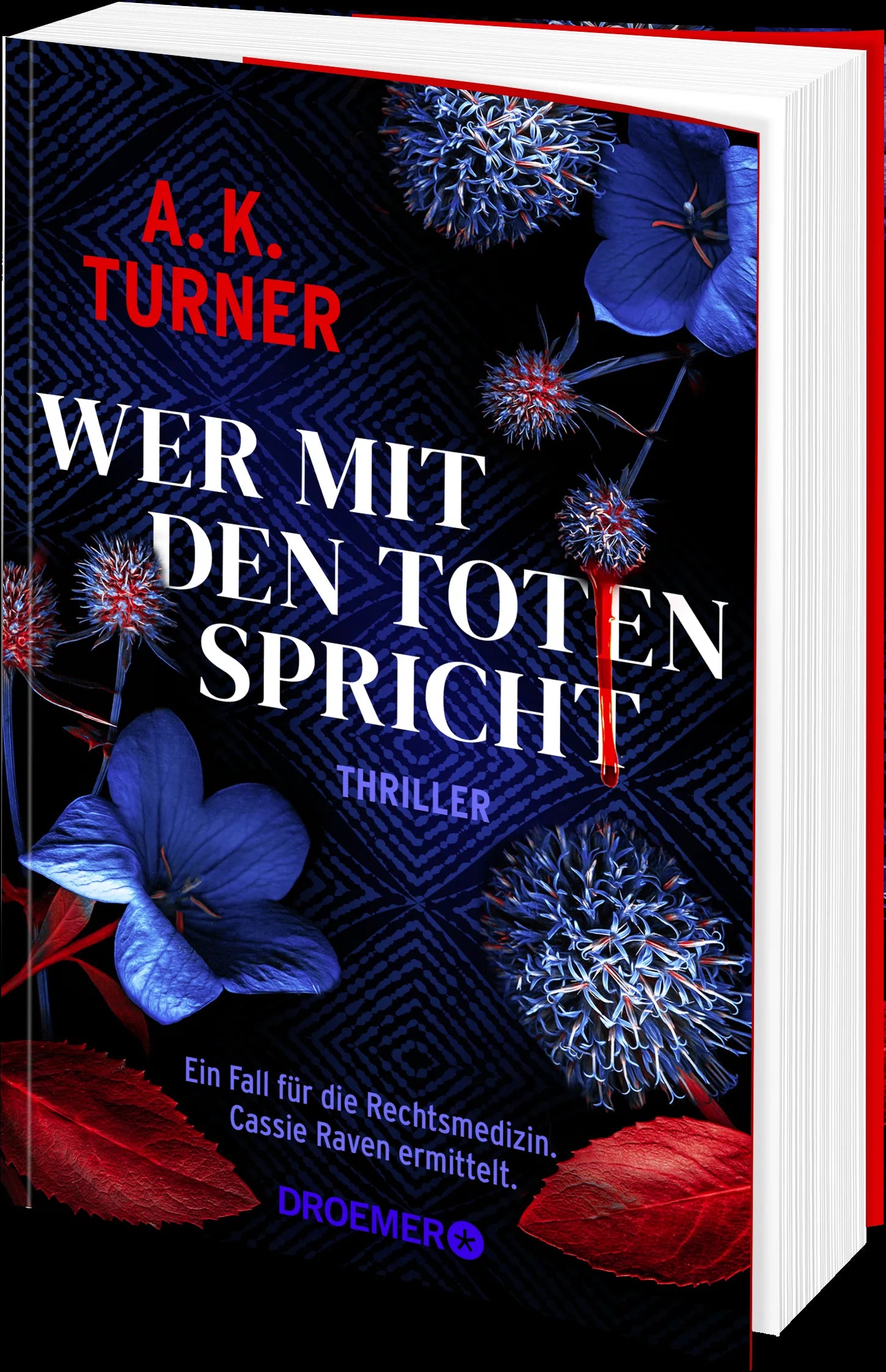 Produktansicht: Wer mit den Toten spricht (Paperback)