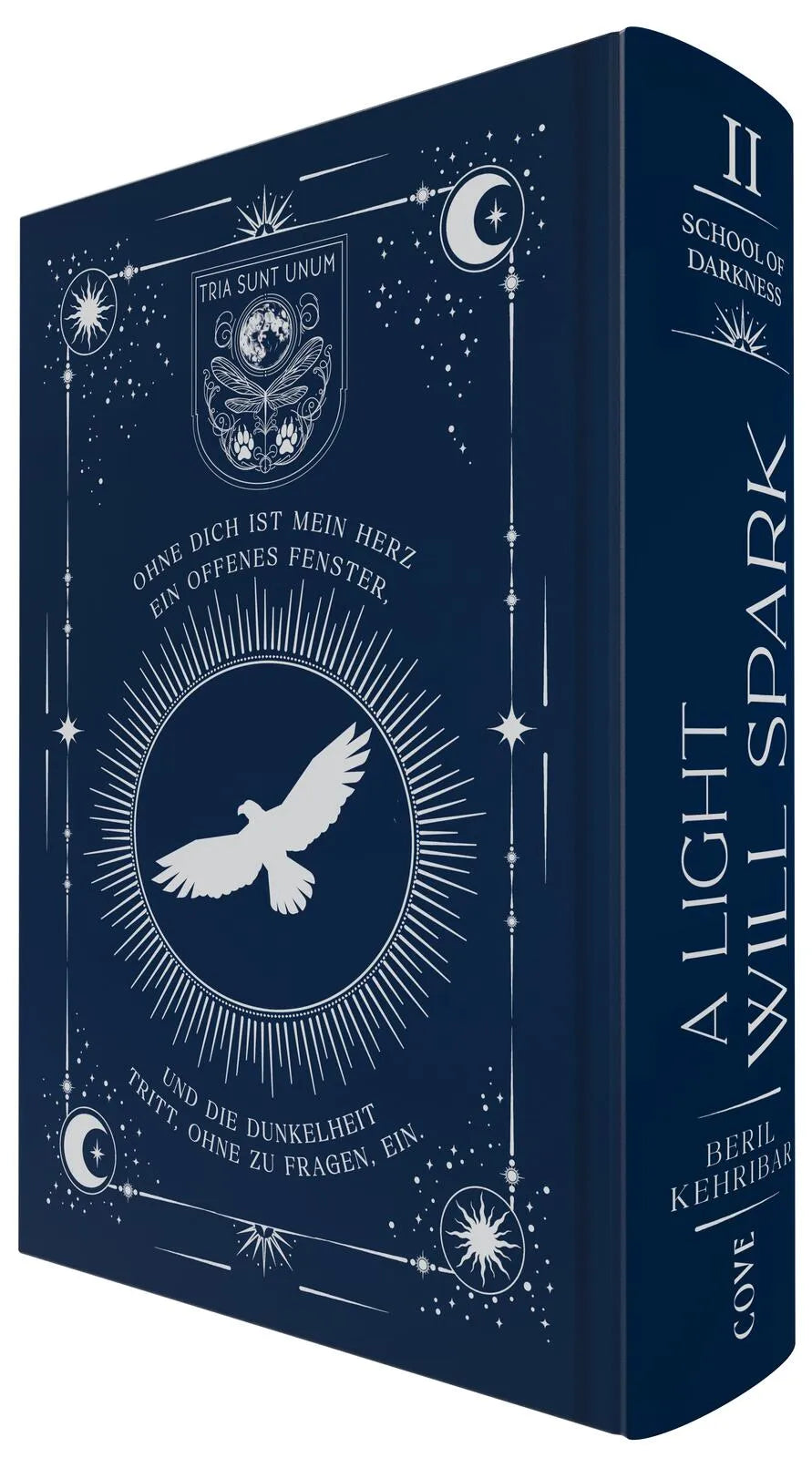 Produktansicht: A Light Will Spark (Gebundene Ausgabe)