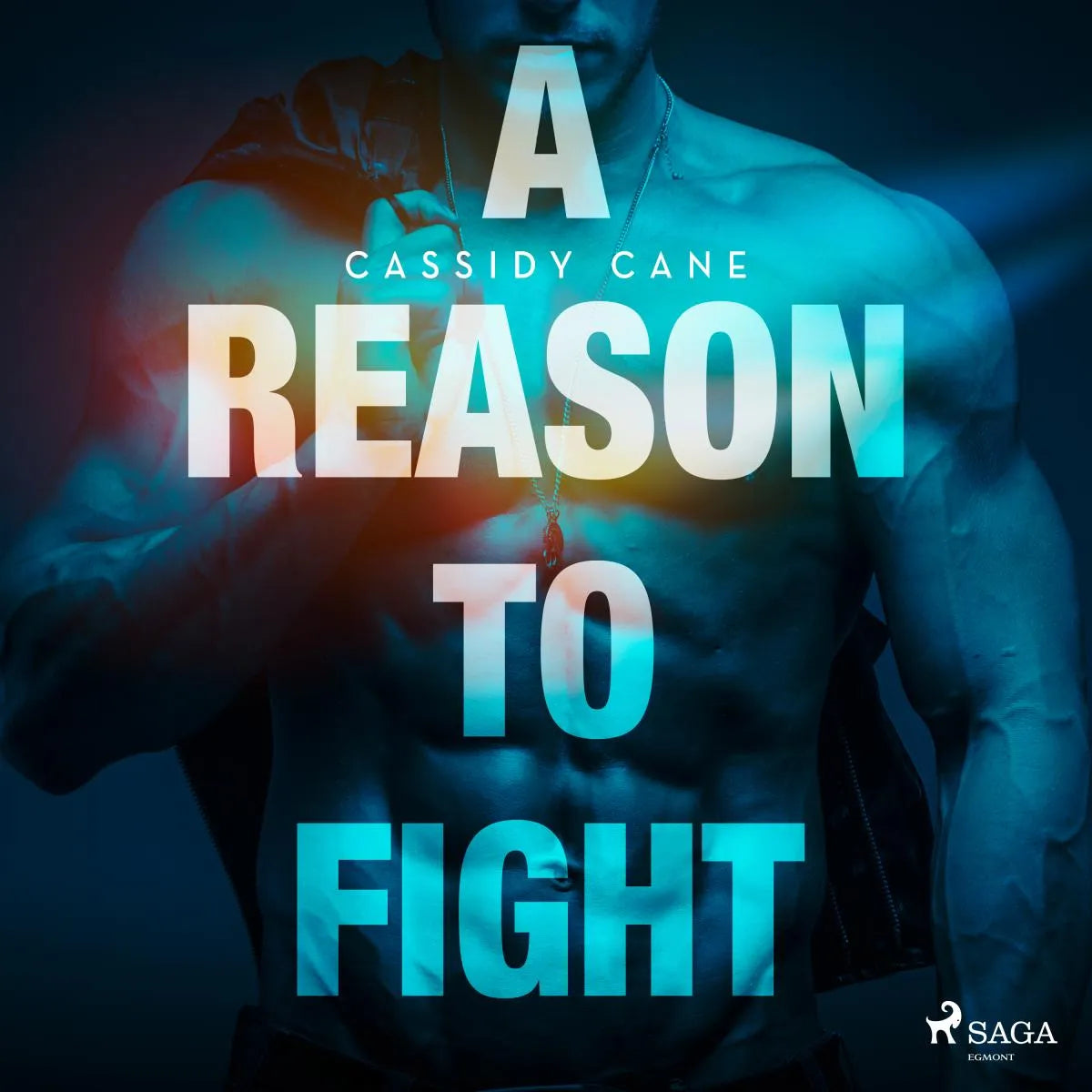 Cover: A Reason to Fight (Hörbuch Download) von Cassidy Cane