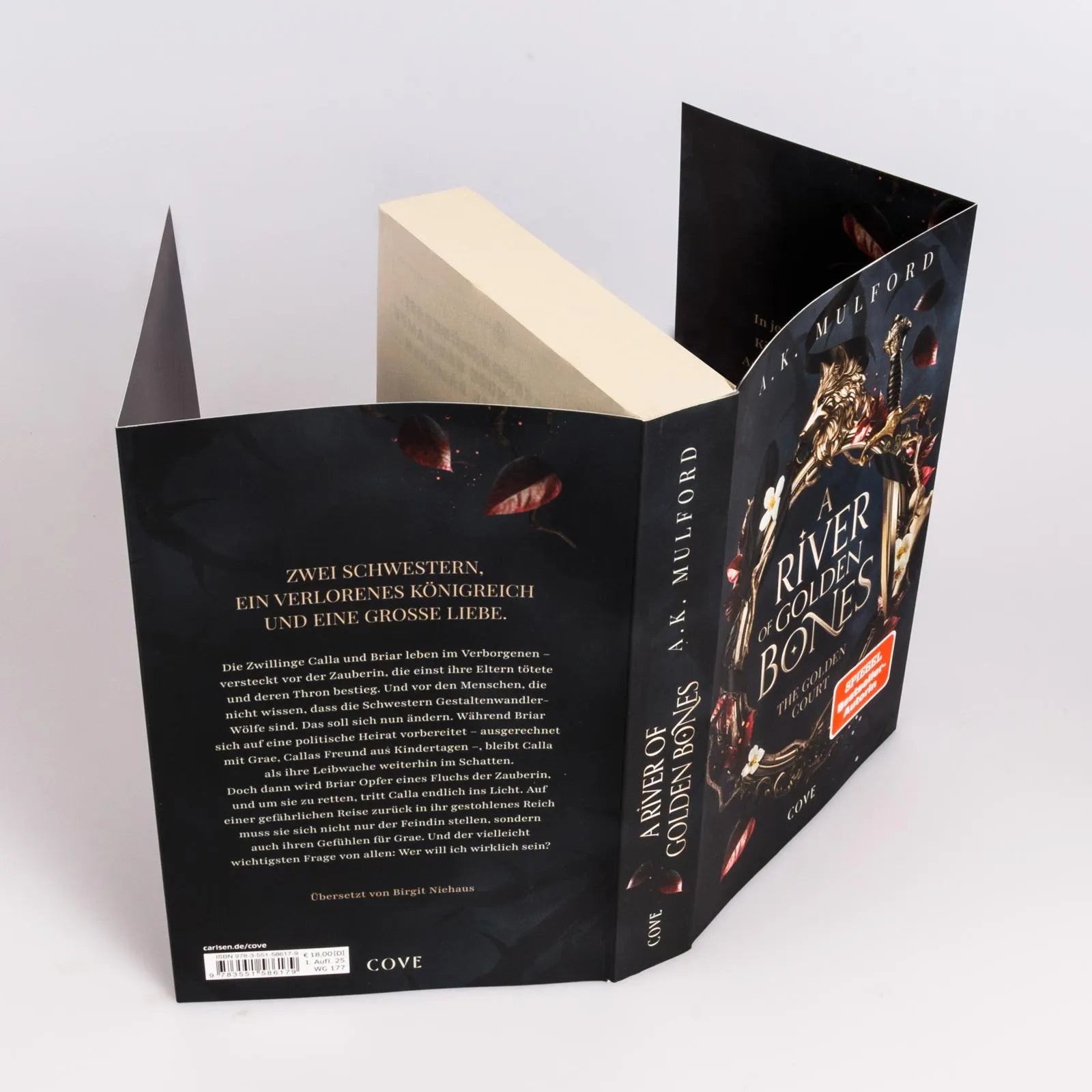 Abbildung von 'A River of Golden Bones'