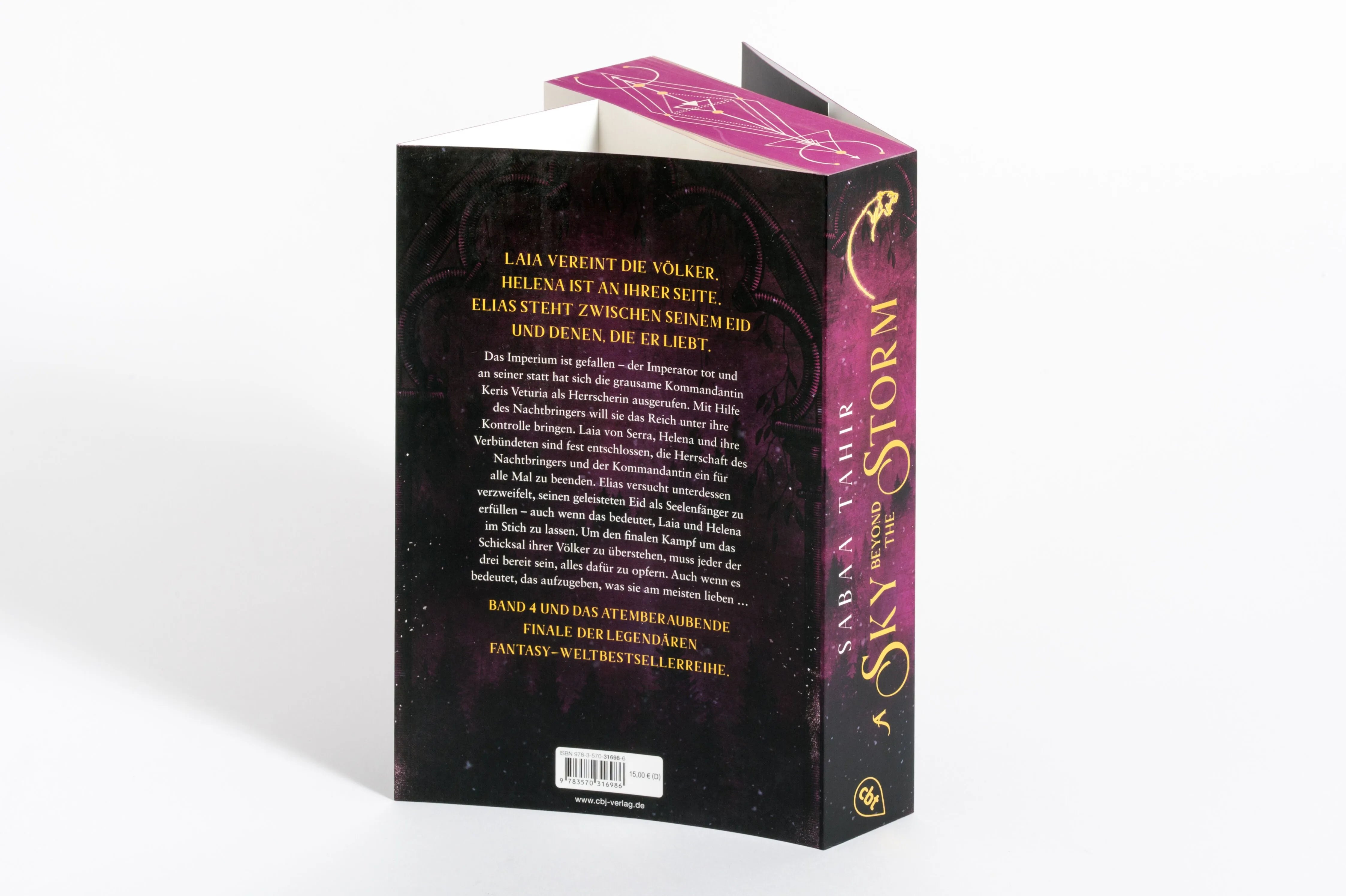 Detailansicht: A Sky Beyond the Storm (Paperback)