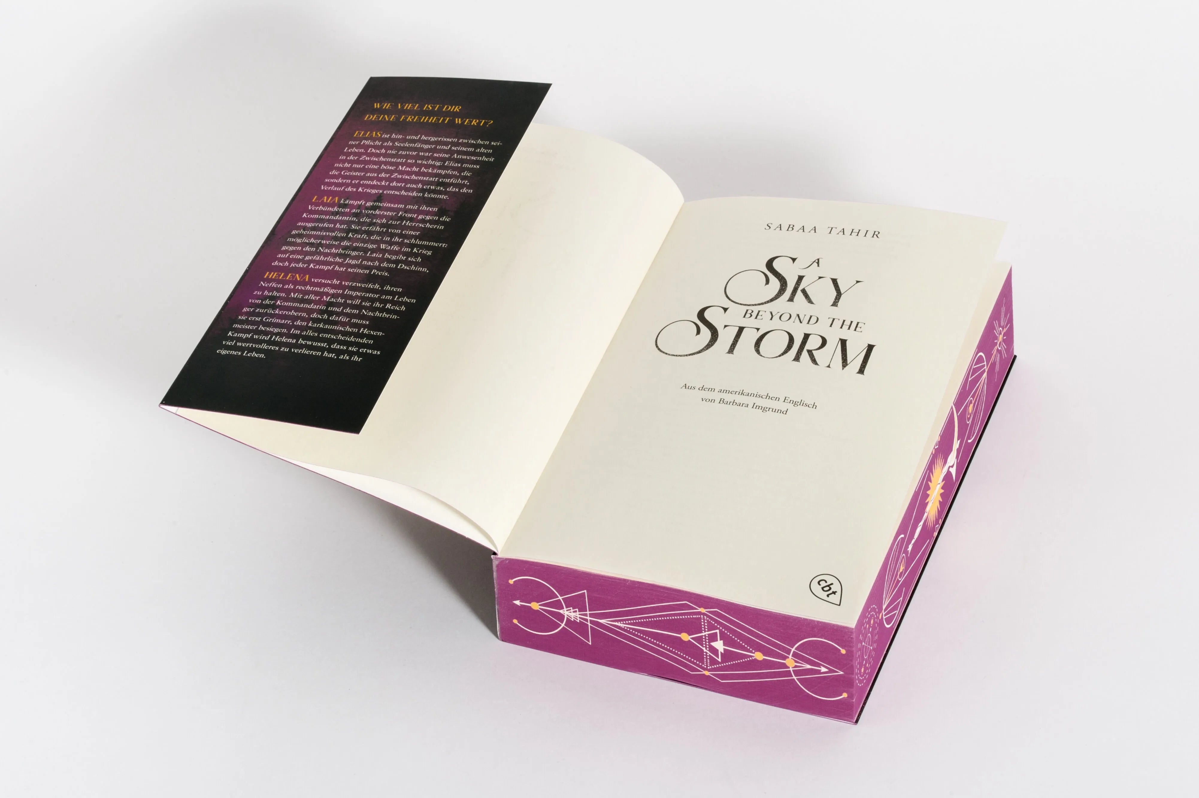 Detailansicht: A Sky Beyond the Storm (Paperback)