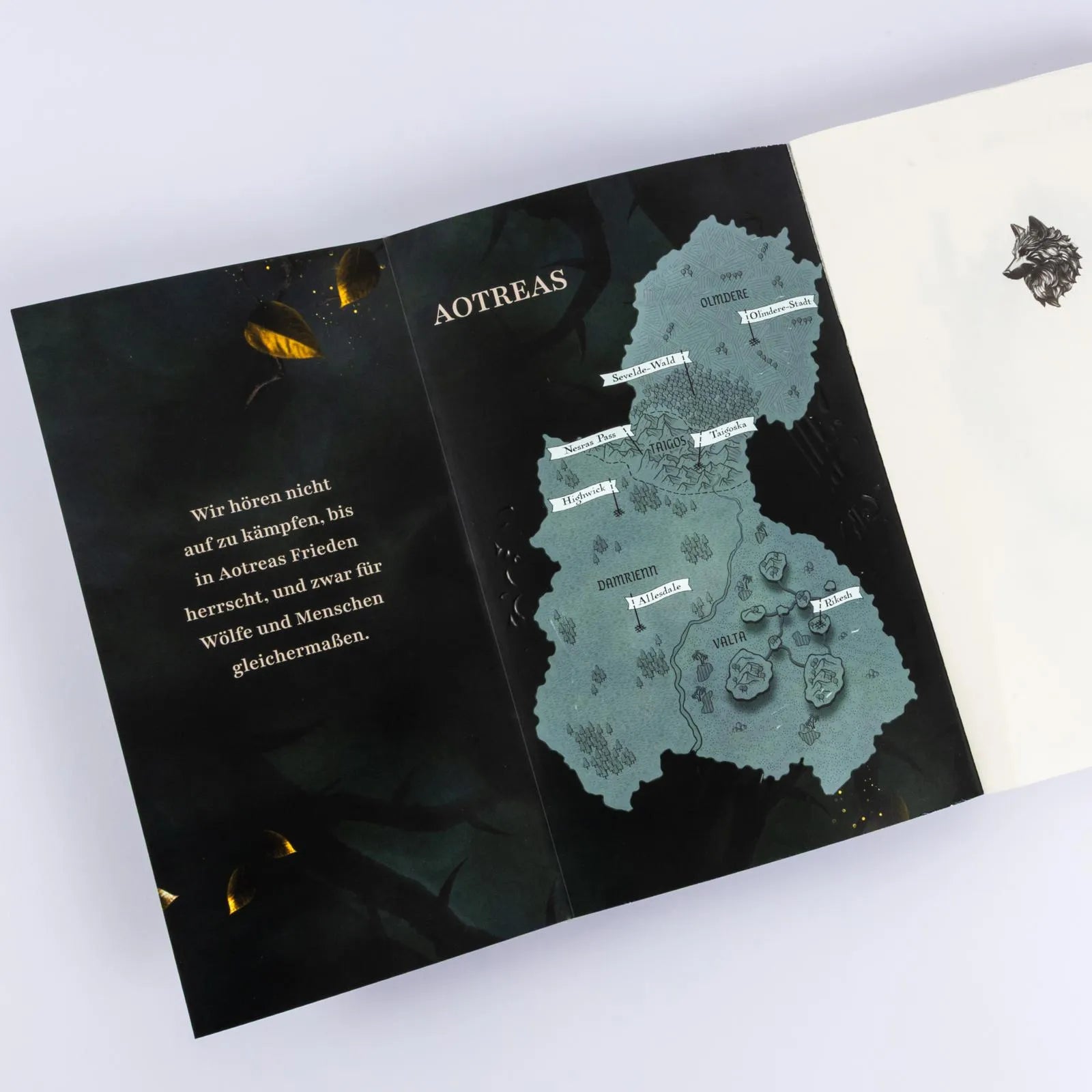 Abbildung von 'A Sky of Emerald Stars'