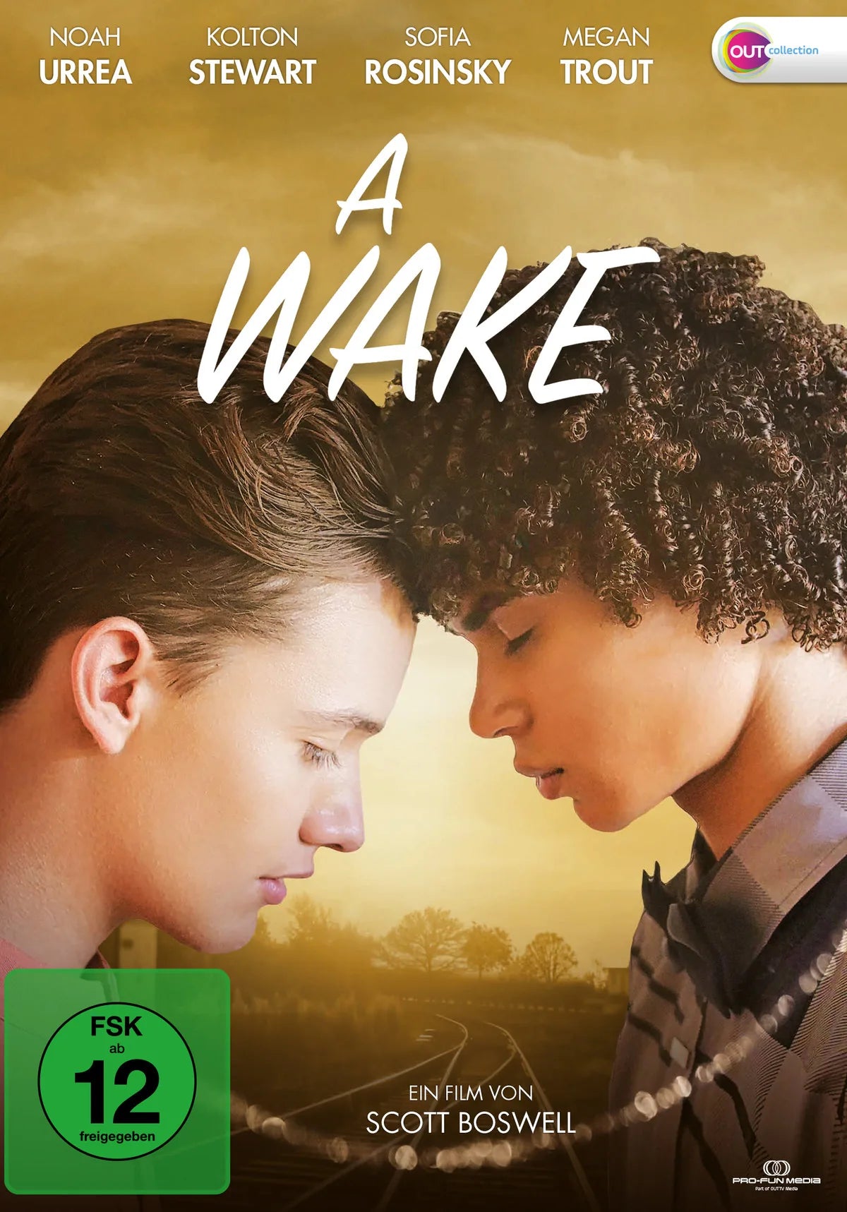 A Wake - DVD
