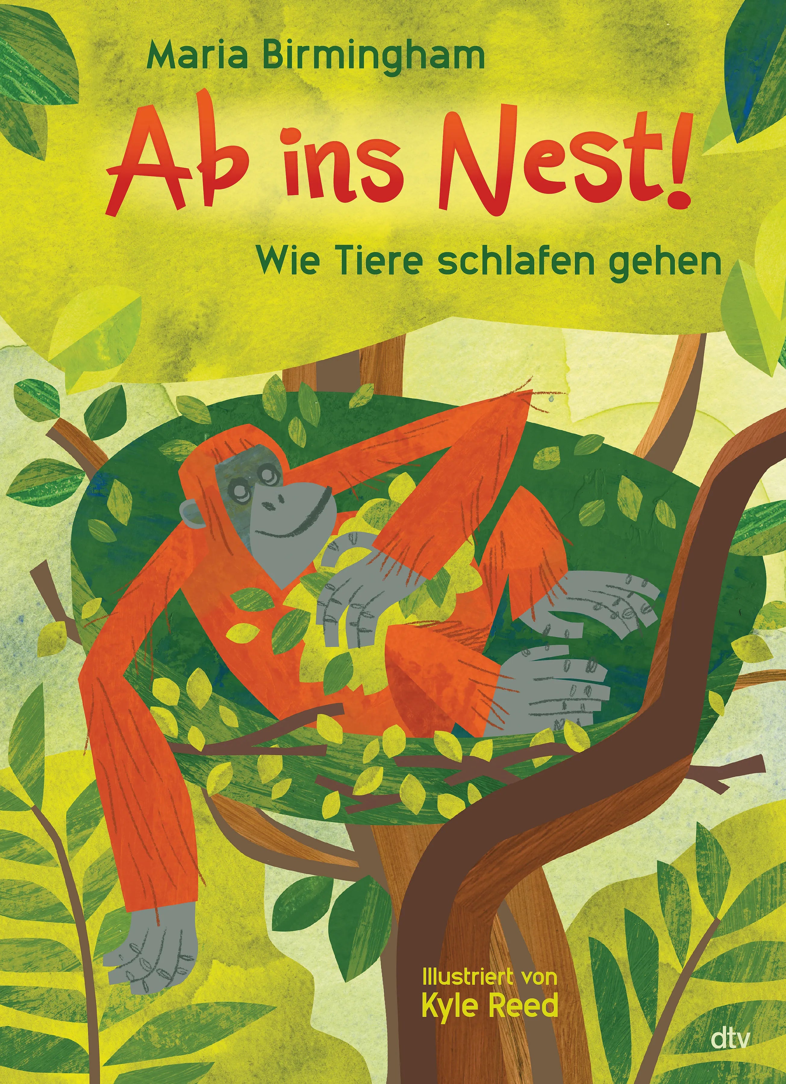 Buchcover von 'Ab ins Nest! – Wie Tiere schlafen gehen' - Gebundene Ausgabe von Maria Birmingham
