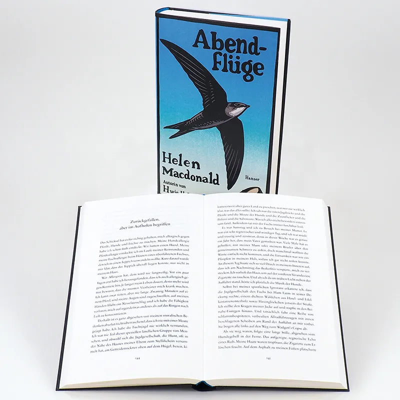 Abbildung von 'Abendflüge'