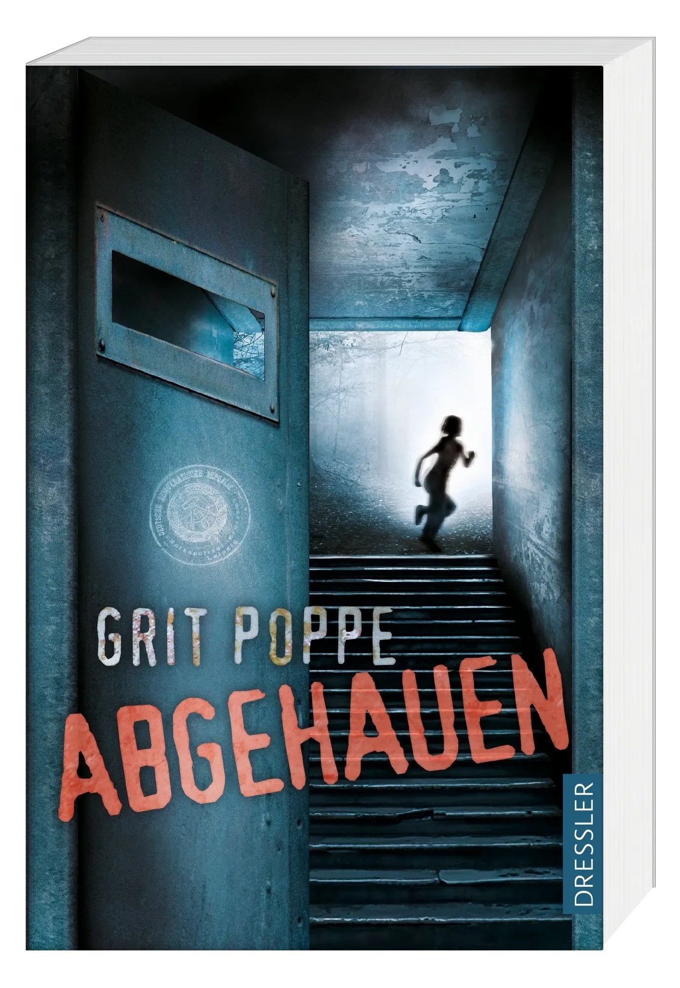 Produktansicht: Abgehauen (Taschenbuch)