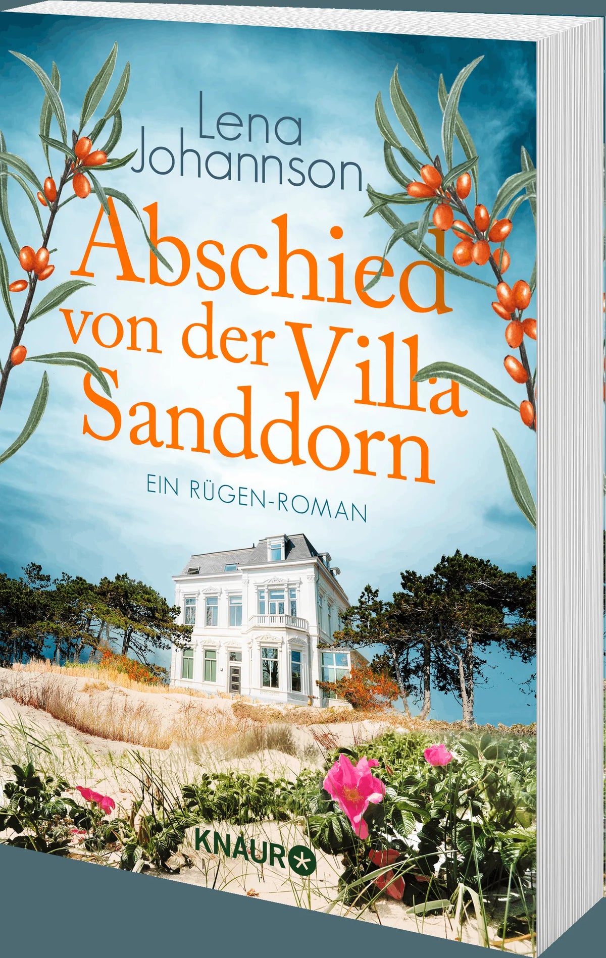 Detailansicht: Abschied von der Villa Sanddorn (Taschenbuch)