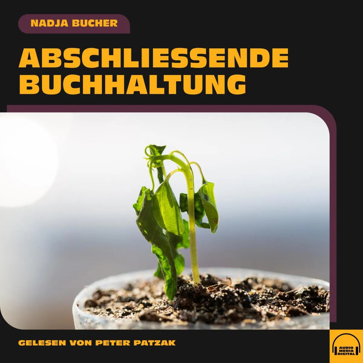 Cover: Abschließende Buchhaltung (Hörbuch Download) von Nadja Bucher