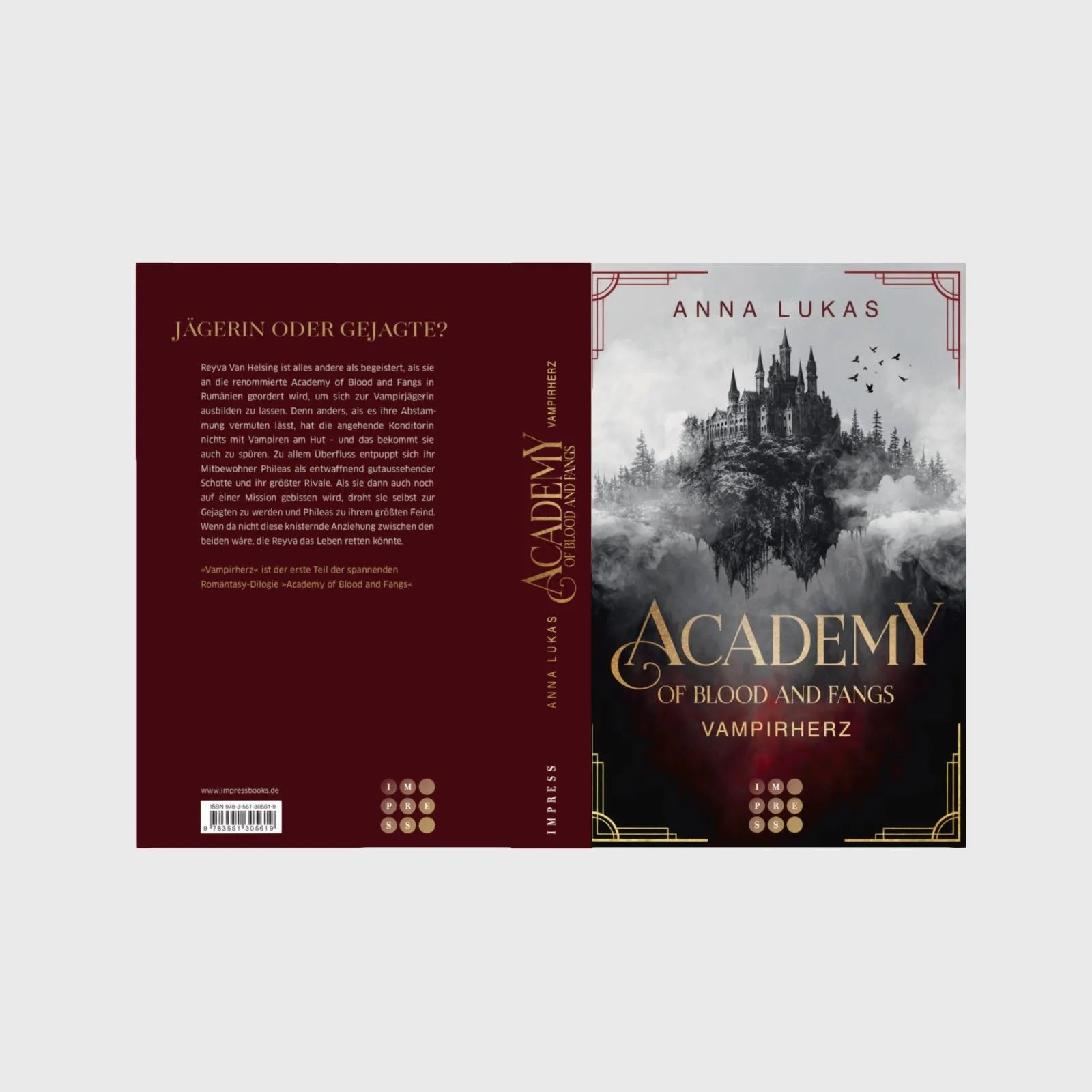 Abbildung von 'Academy of Blood and Fangs 1: Vampirherz'
