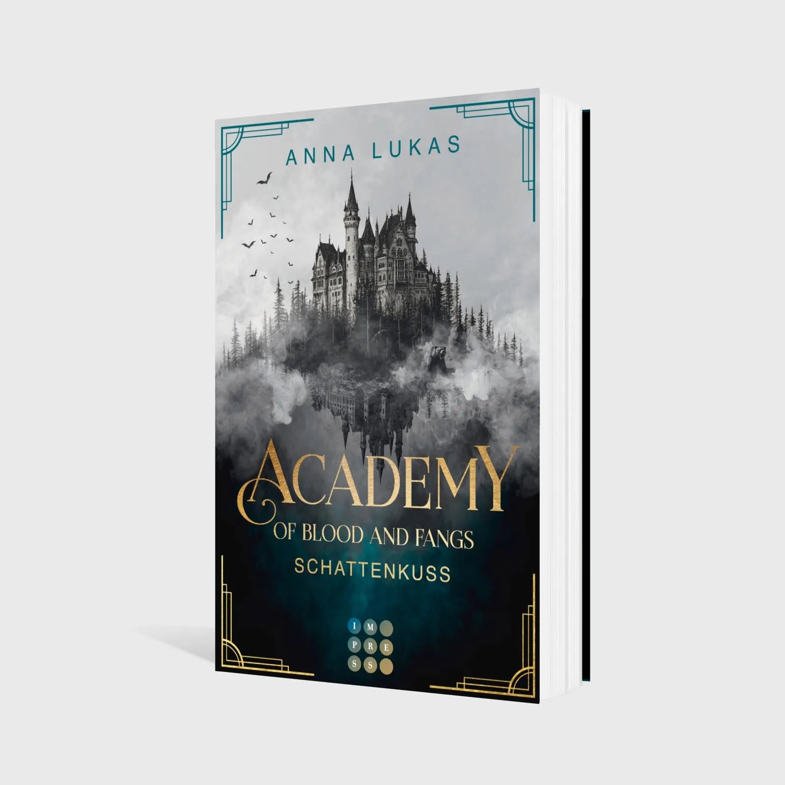 Produktansicht: Academy of Blood and Fangs 2: Schattenkuss (Taschenbuch)