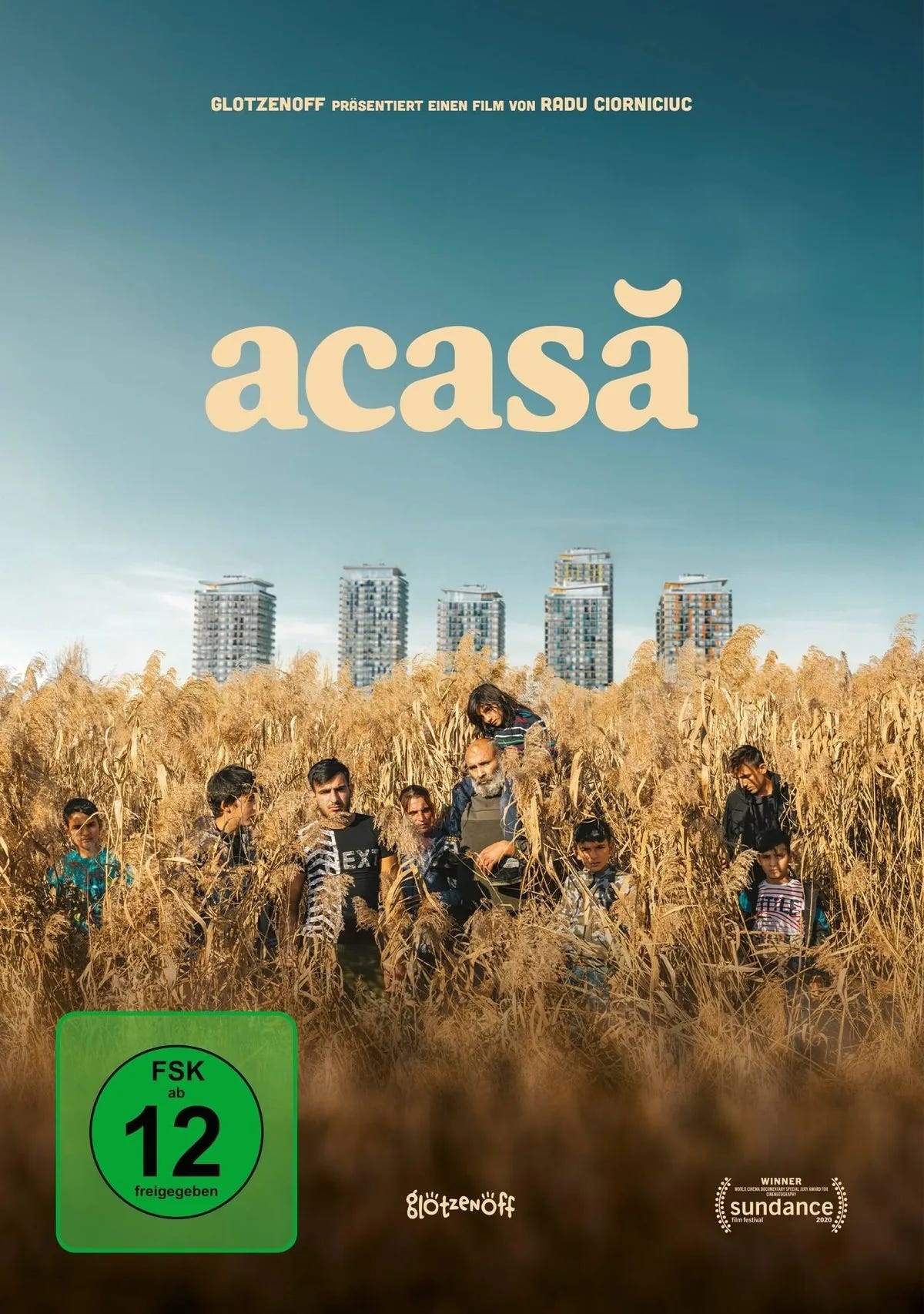 Acasa - DVD