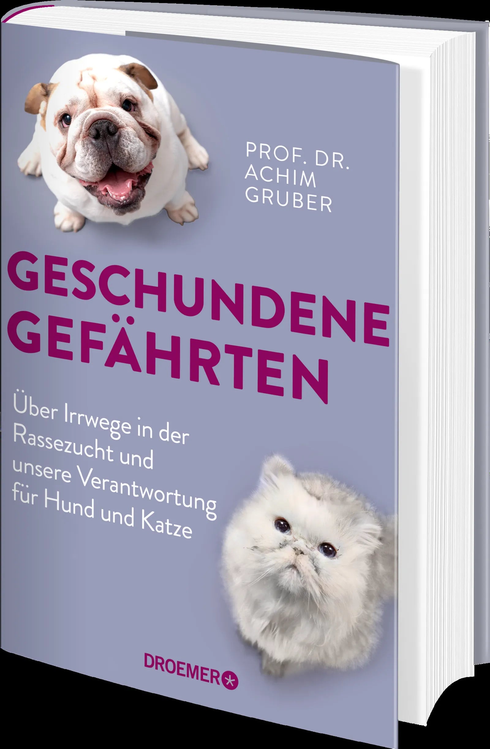 Produktansicht: Geschundene Gefährten (Gebundene Ausgabe)
