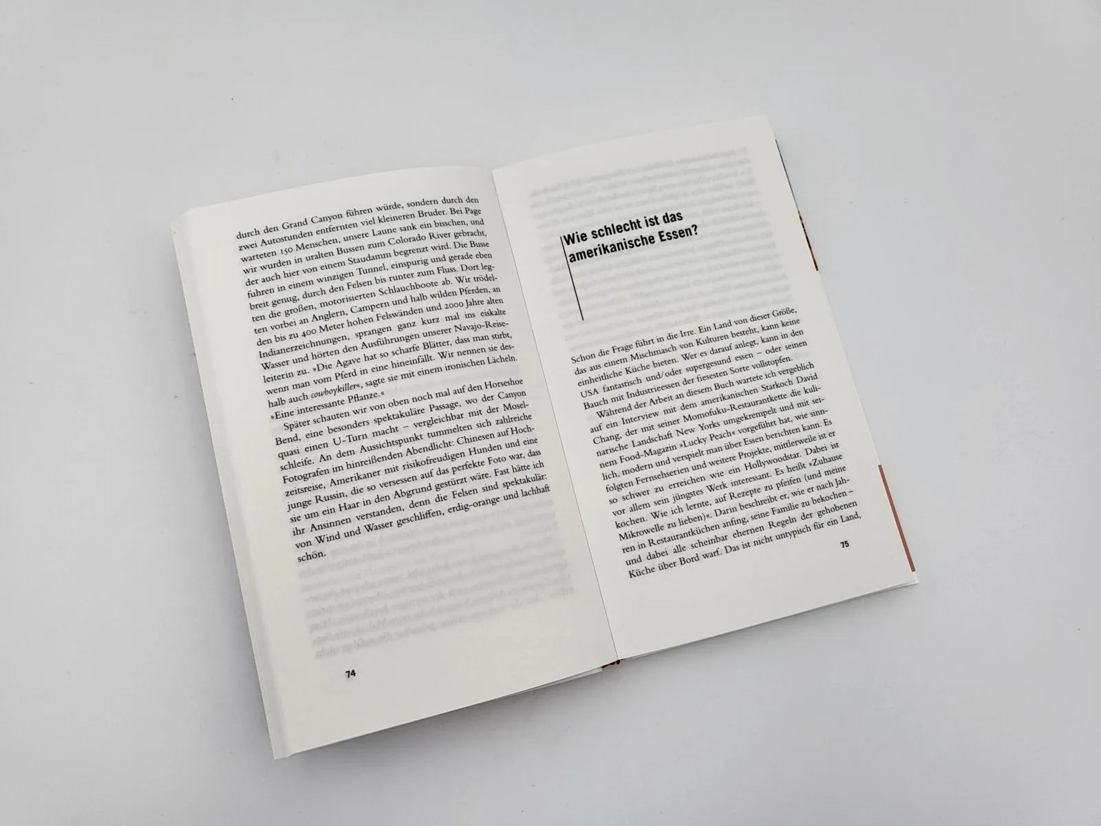 Produktansicht: Gebrauchsanweisung für die USA (Taschenbuch)
