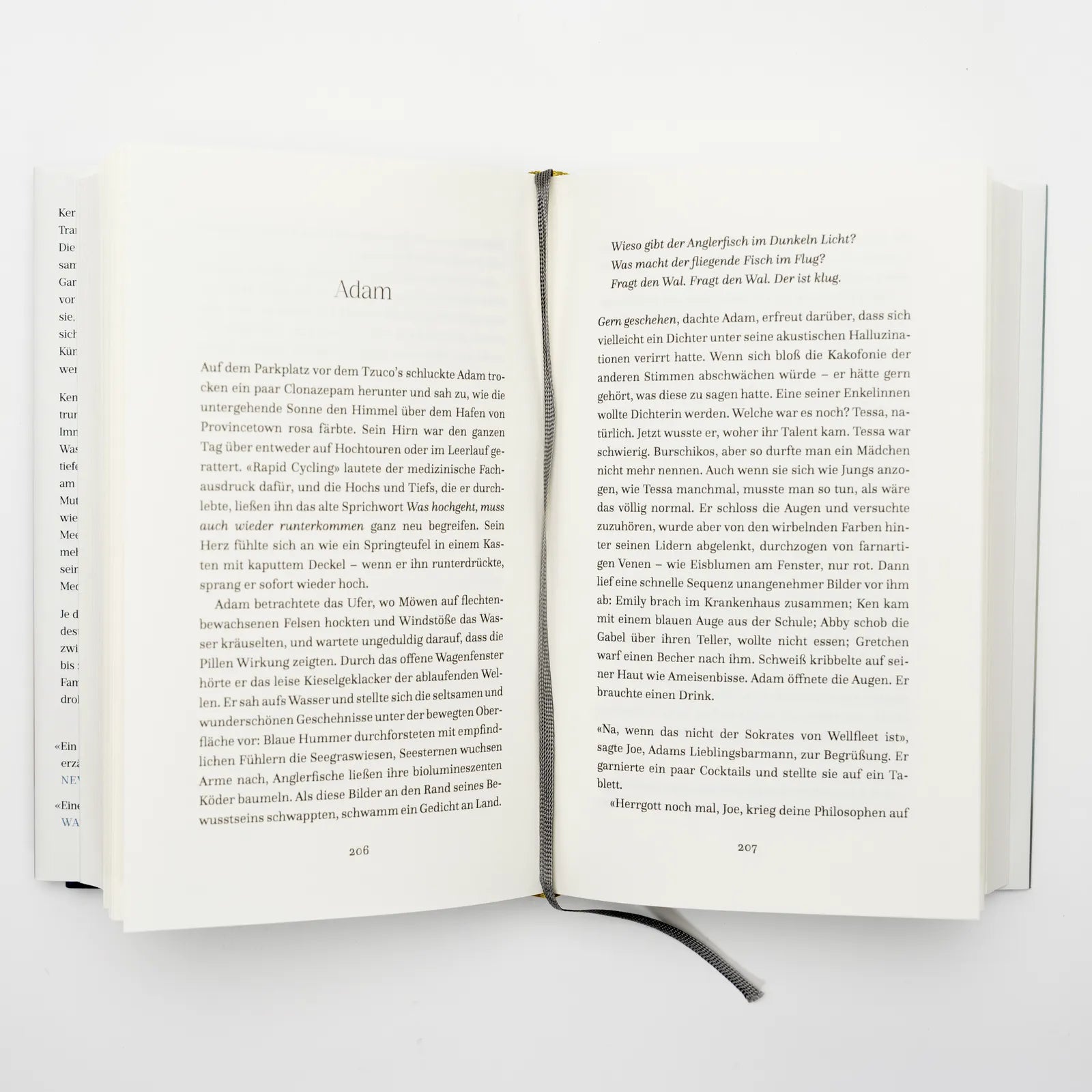 Produktansicht: Treibgut (Gebundene Ausgabe)