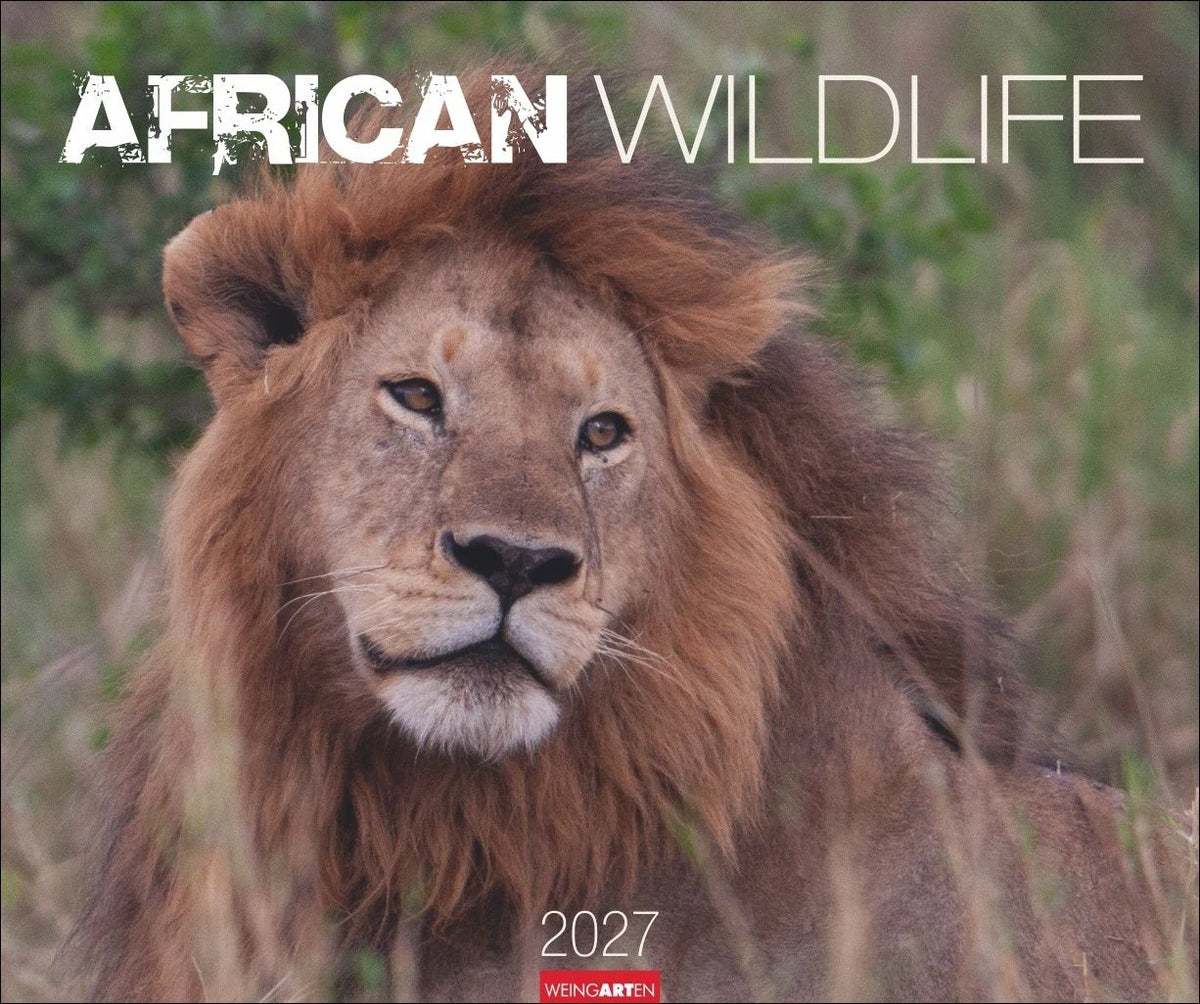 Wandkalender: African Wildlife Kalender 2027