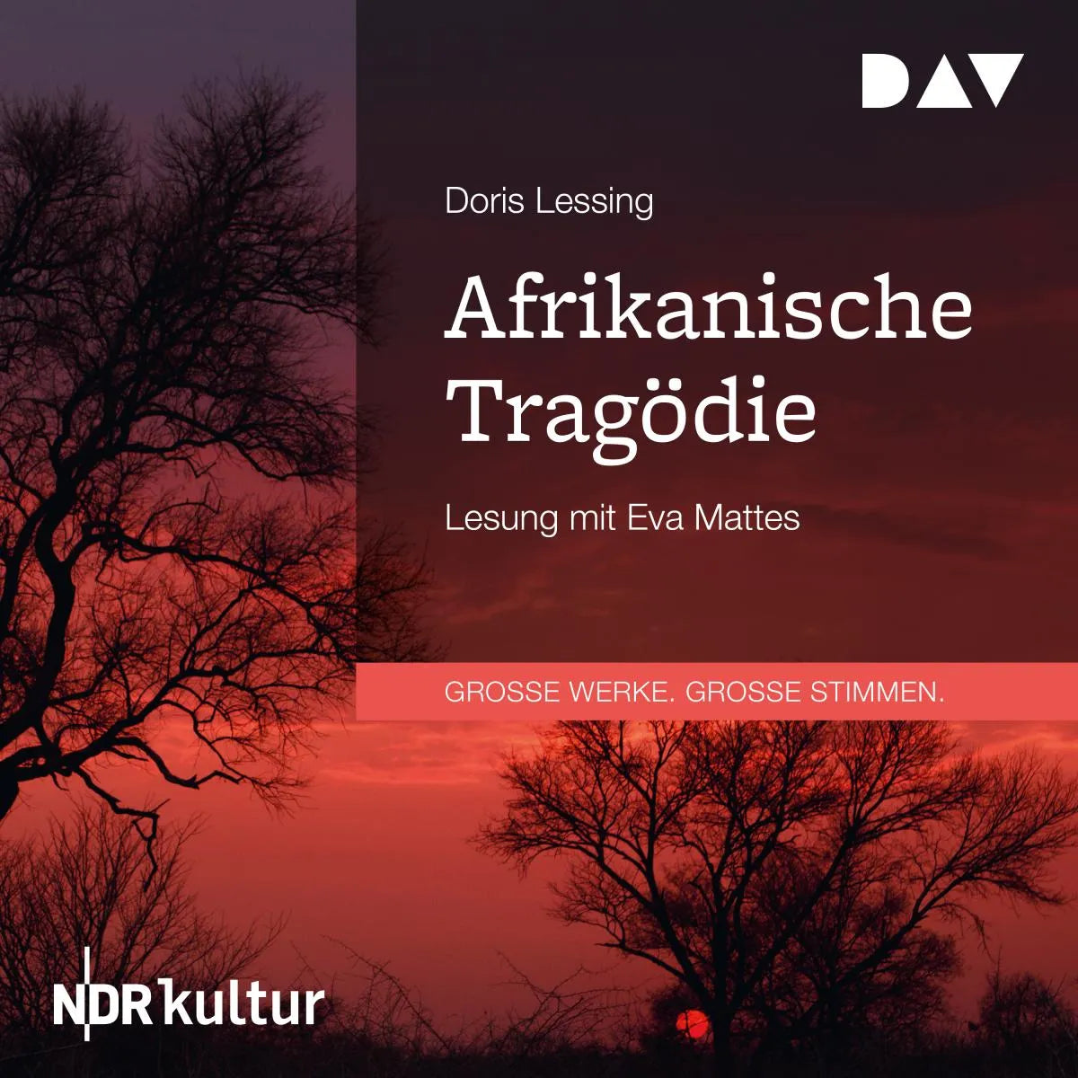 Cover: Afrikanische Tragödie (Hörbuch Download) von Doris Lessing