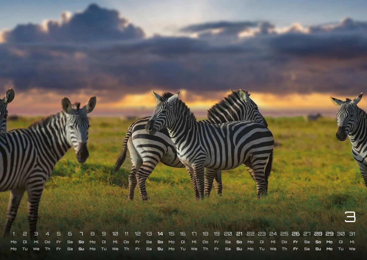 Afrikas Tierwelt - Der Tierkalender - 2027 - Kalender DIN A2 – Ansicht