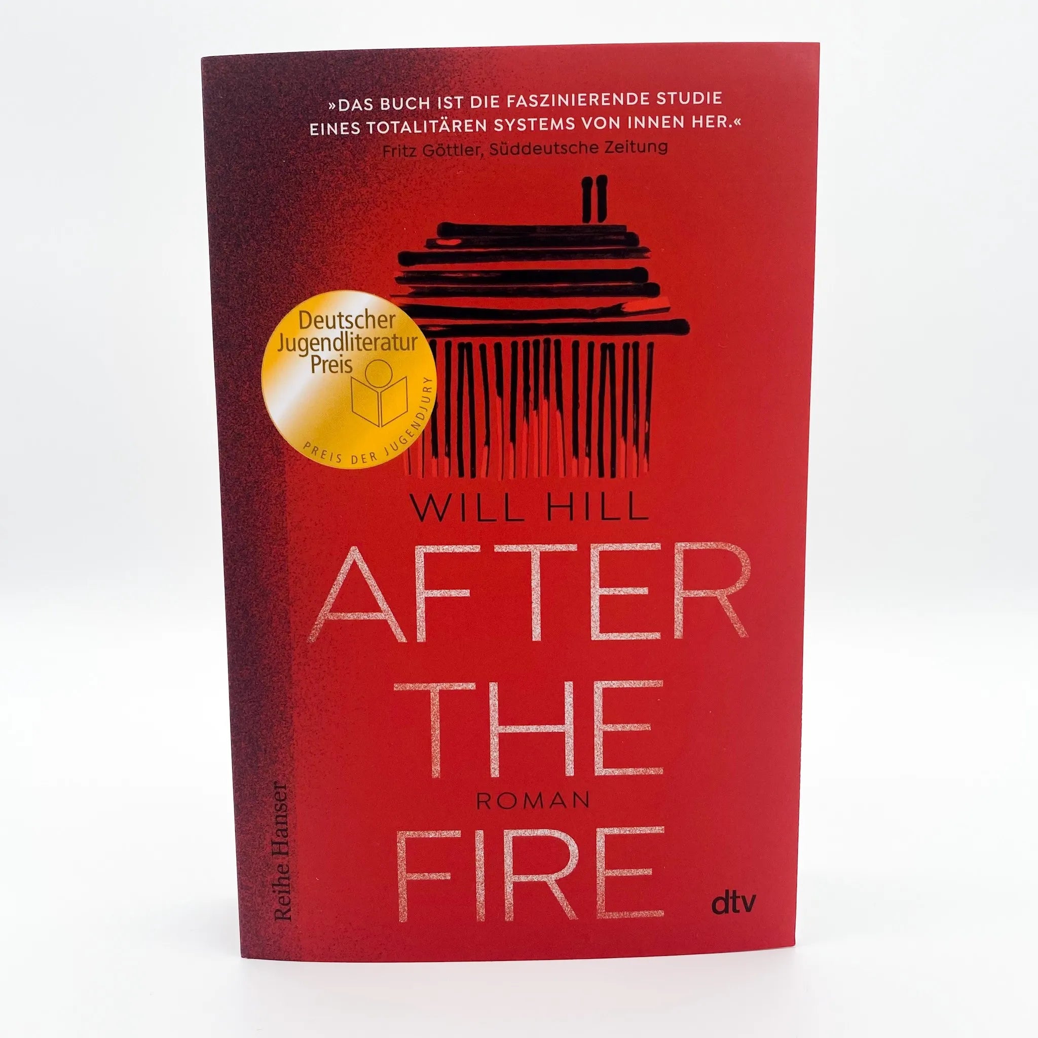 Produktansicht: After the Fire (Taschenbuch)