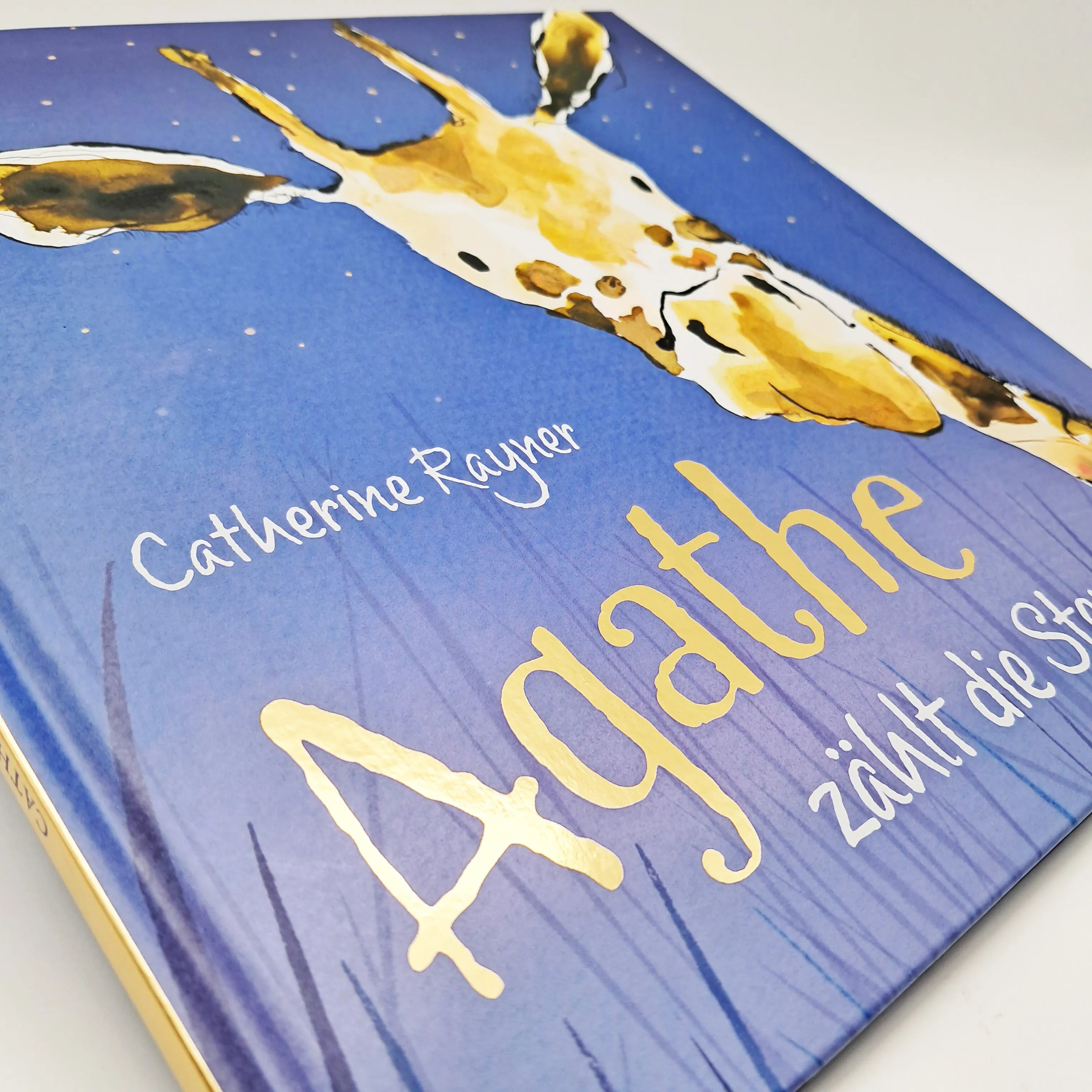 Abbildung von 'Agathe zählt die Sterne'