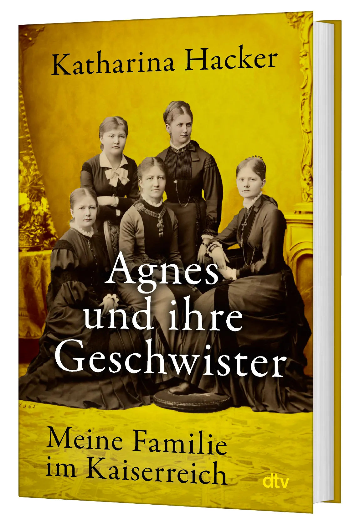 Detailansicht: Agnes und ihre Geschwister (Hardcover)