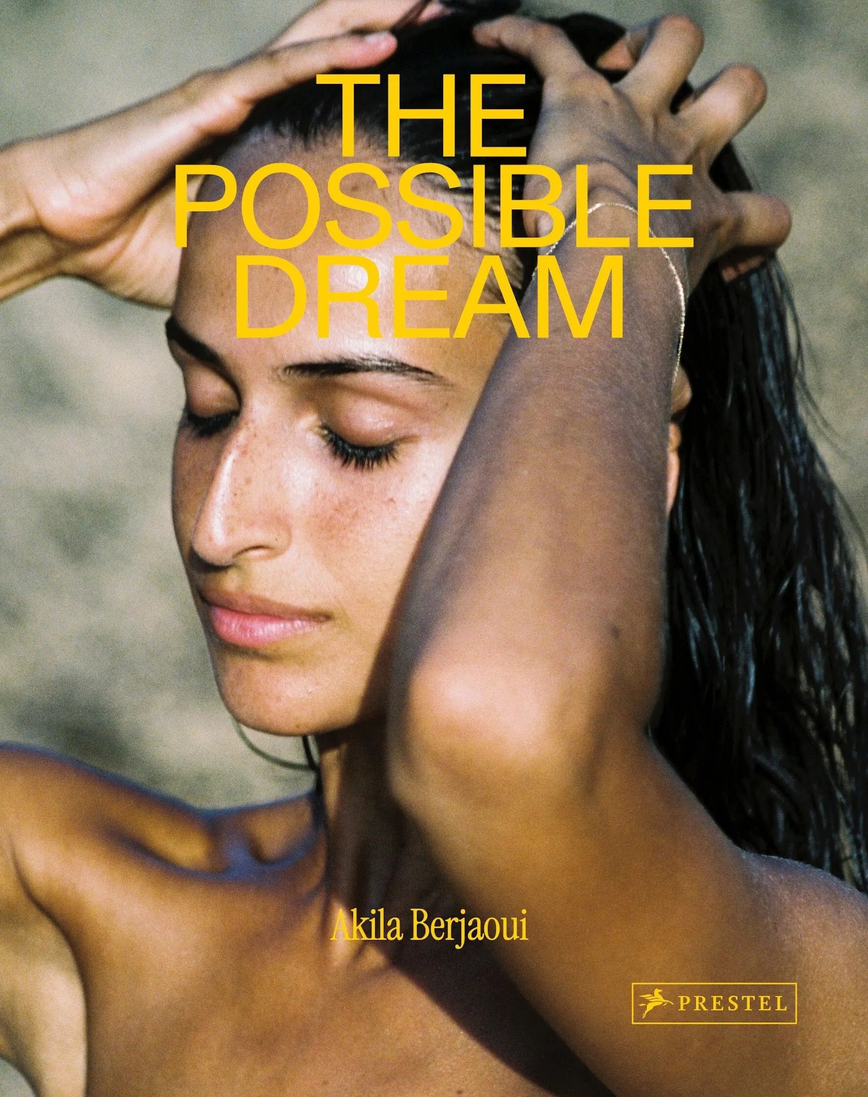 Cover: Akila Berjaoui: The Possible Dream (Hardcover)