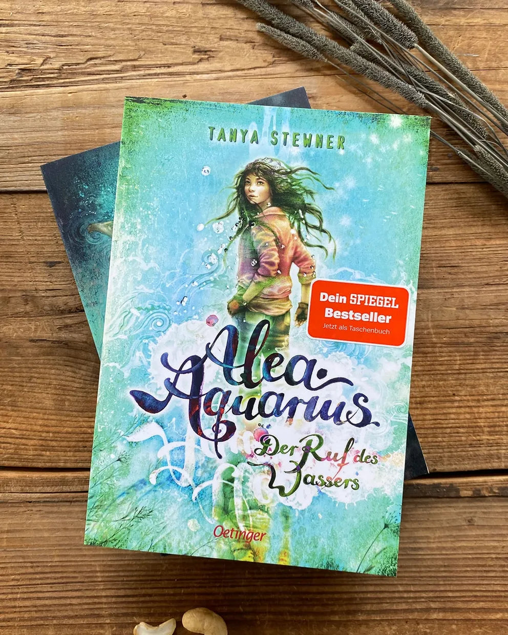 Produktansicht: Alea Aquarius 1. Der Ruf des Wassers (Taschenbuch)