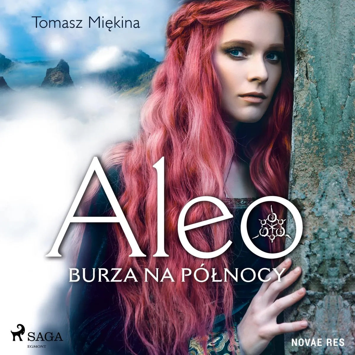 Cover: Aleo. Burza na północy (Hörbuch Download) von Tomasz Miekina