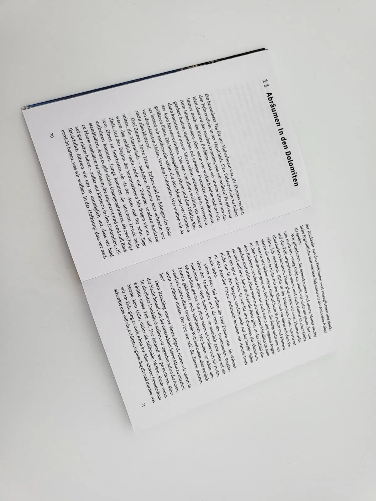 Produktansicht: Der Berg in mir (Taschenbuch)