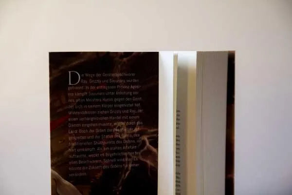 Produktansicht: Turm des Ordens (Paperback)