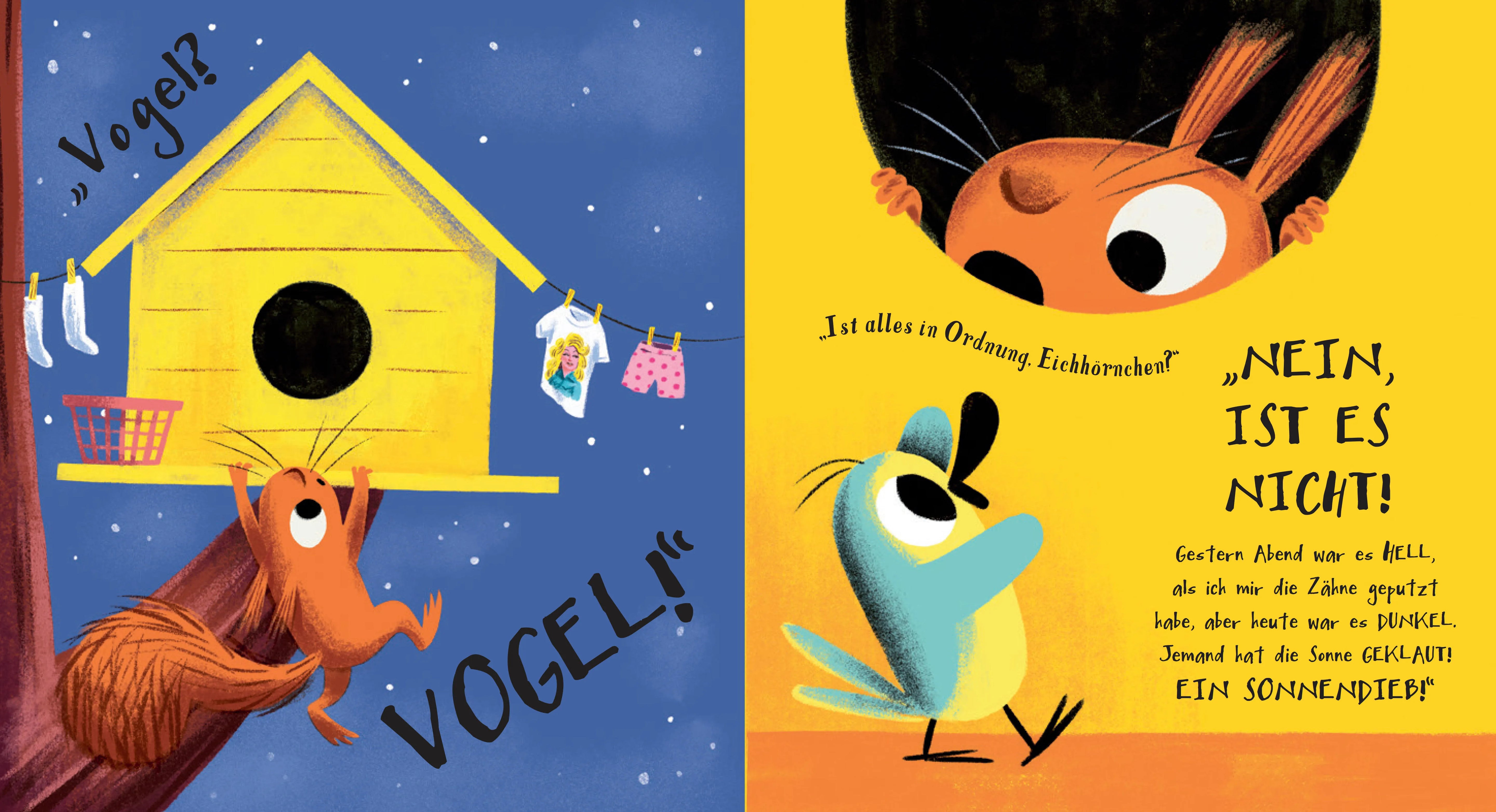 Produktansicht: Der Sonnendieb (Gebundene Ausgabe)